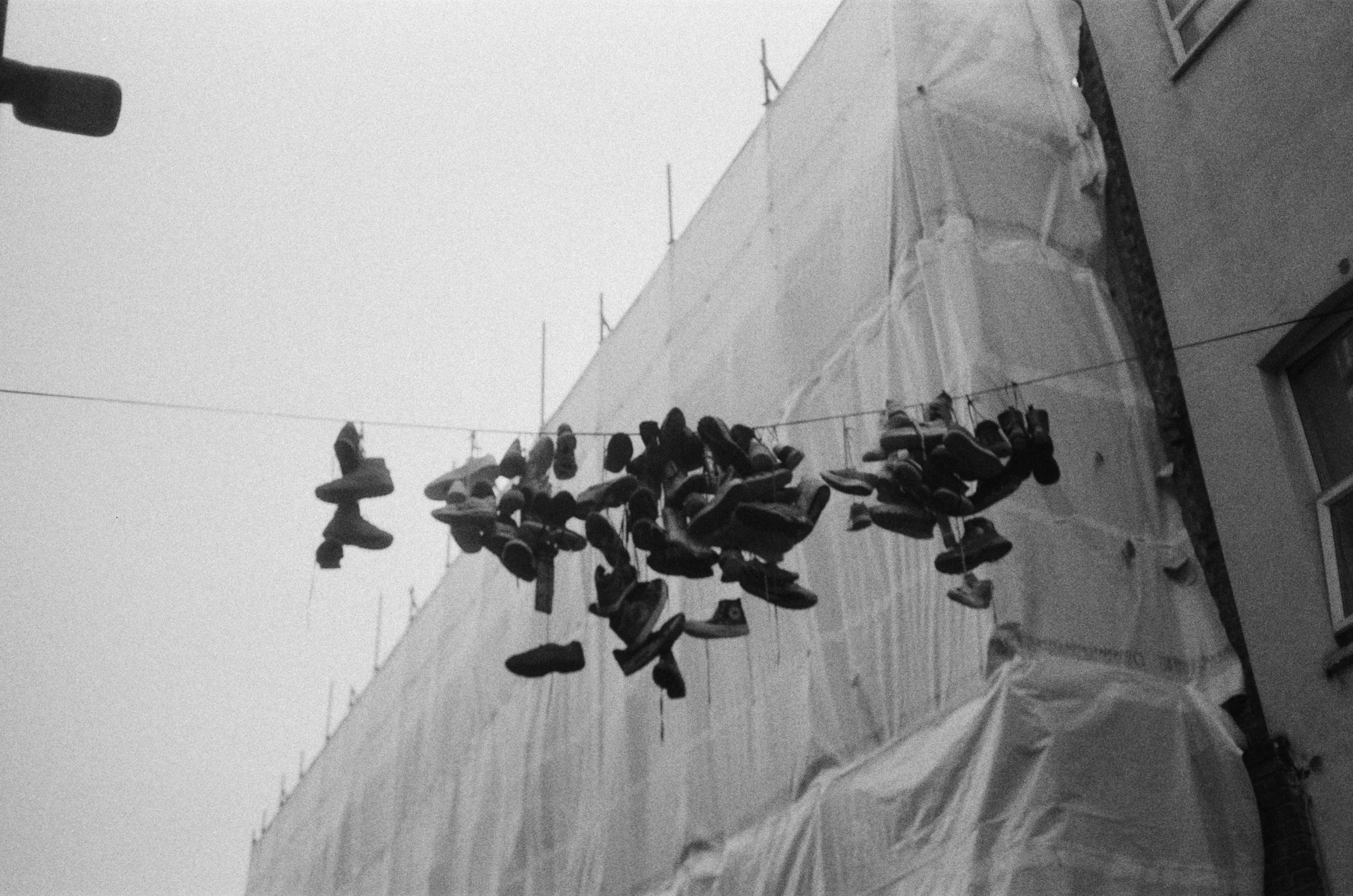 000867430008.jpg