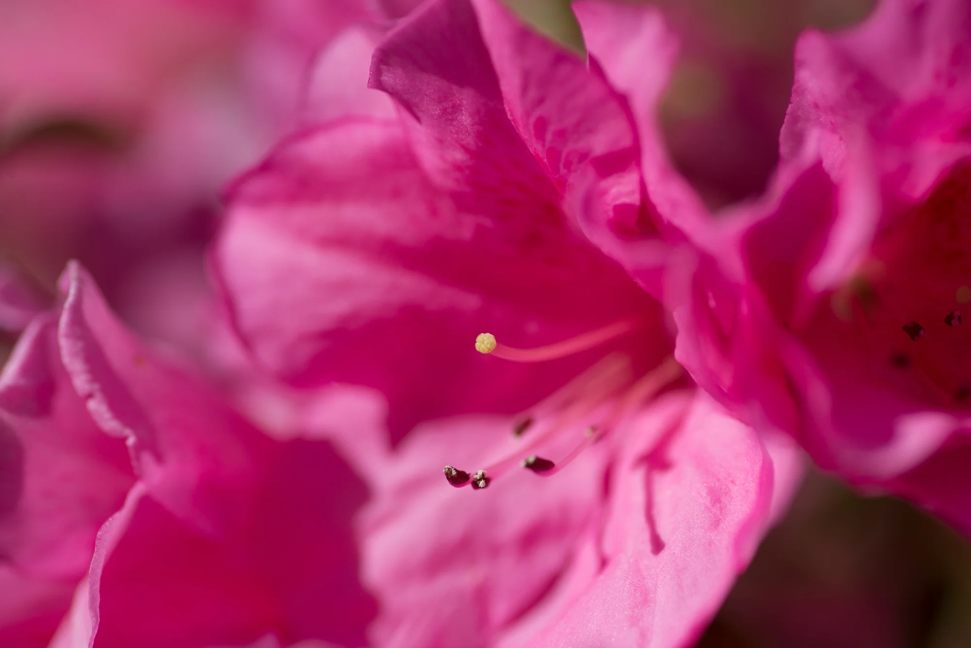 DSC_3948.jpg
