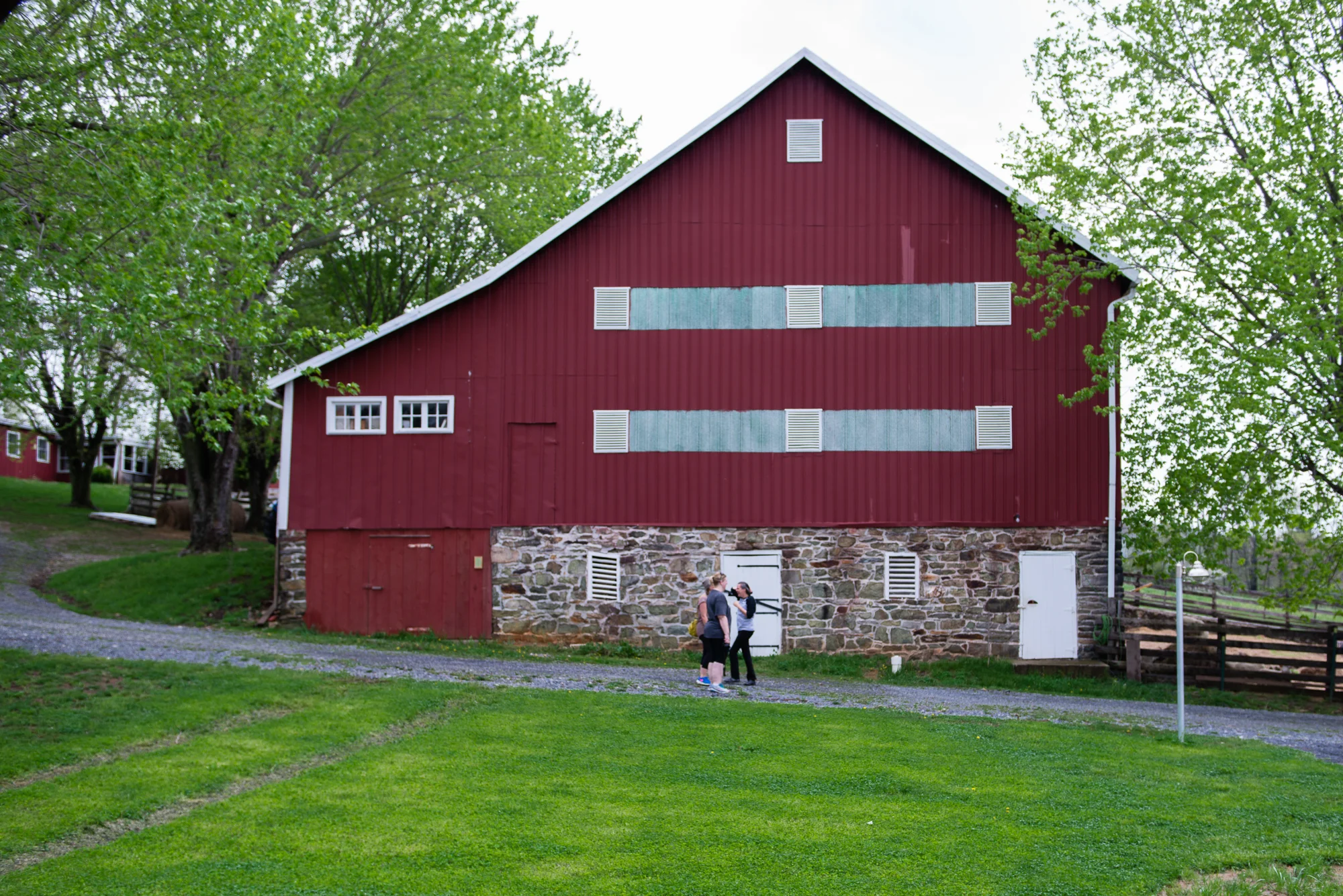 DSC_4619.jpg
