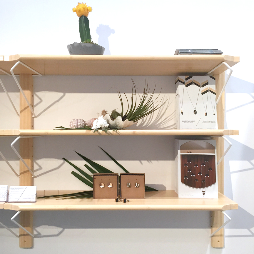 shelves_cacti_edit.jpg