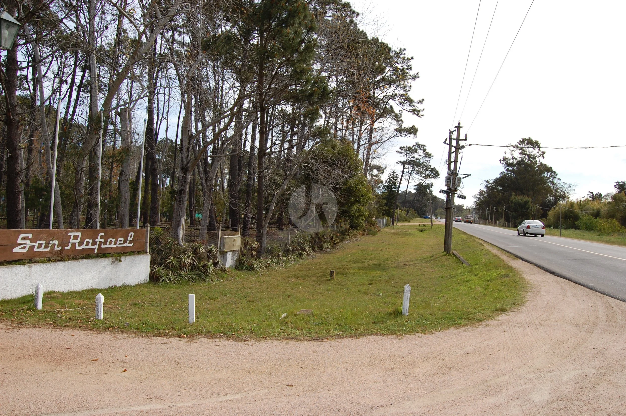 DSC_0002-watermarked.JPG