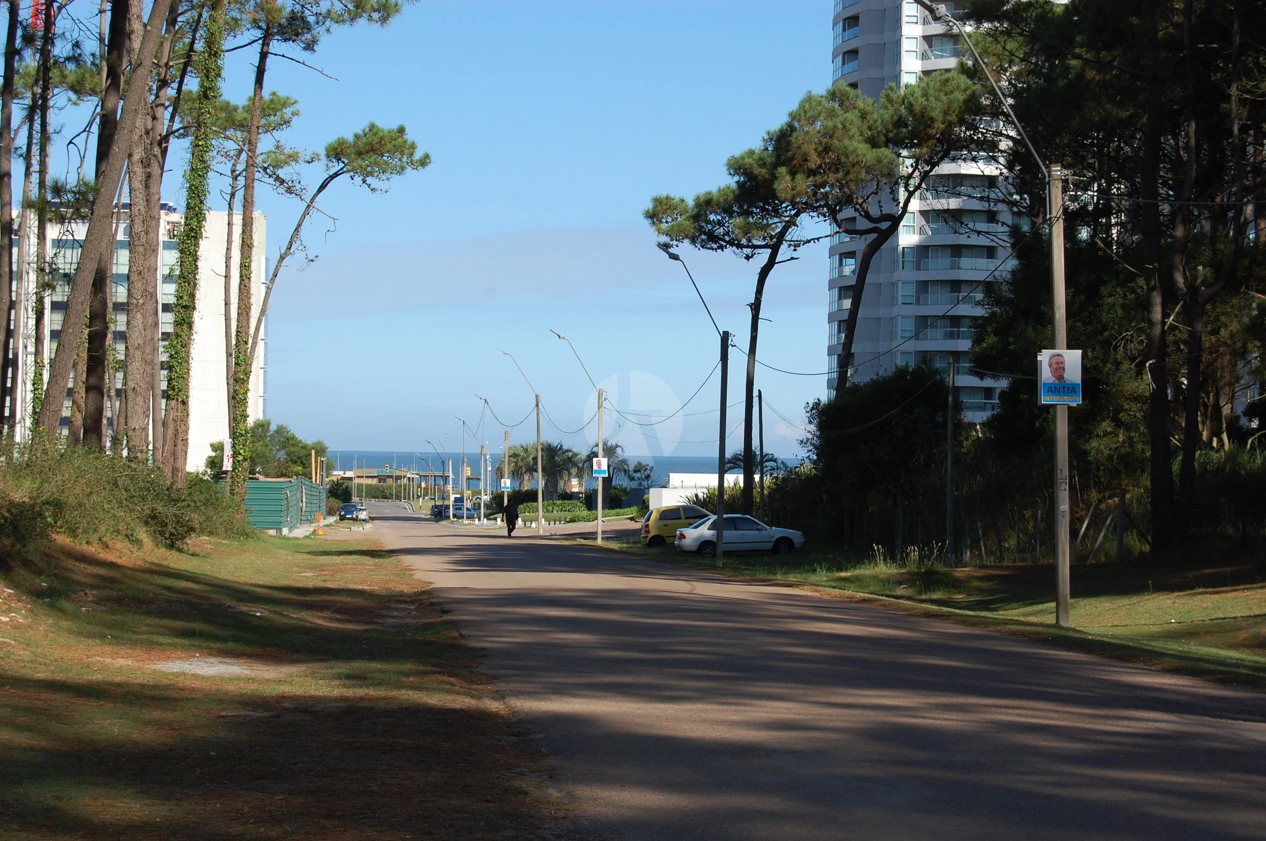 DSC_0005-watermarked.JPG