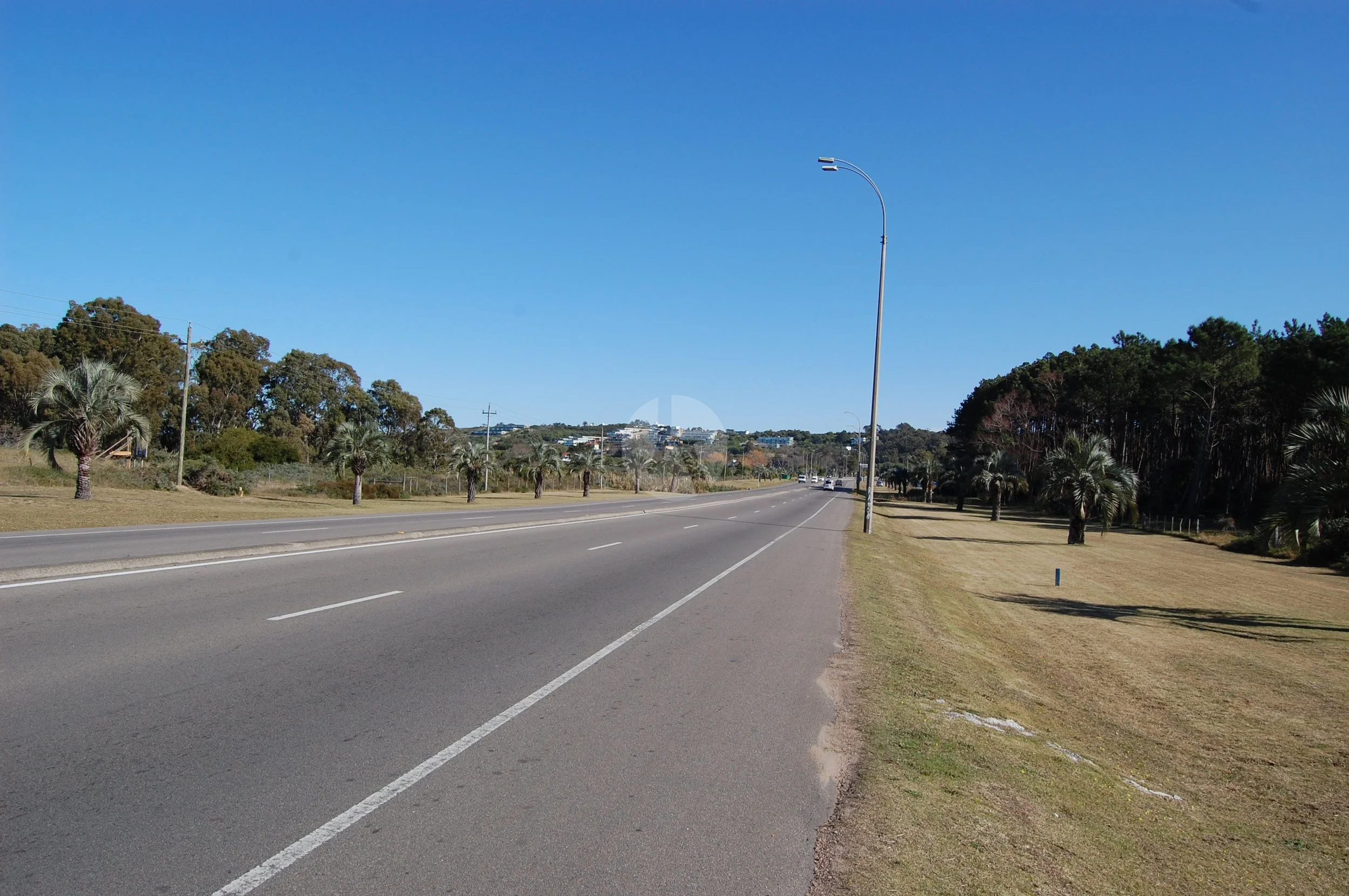 DSC_0010-watermarked.JPG