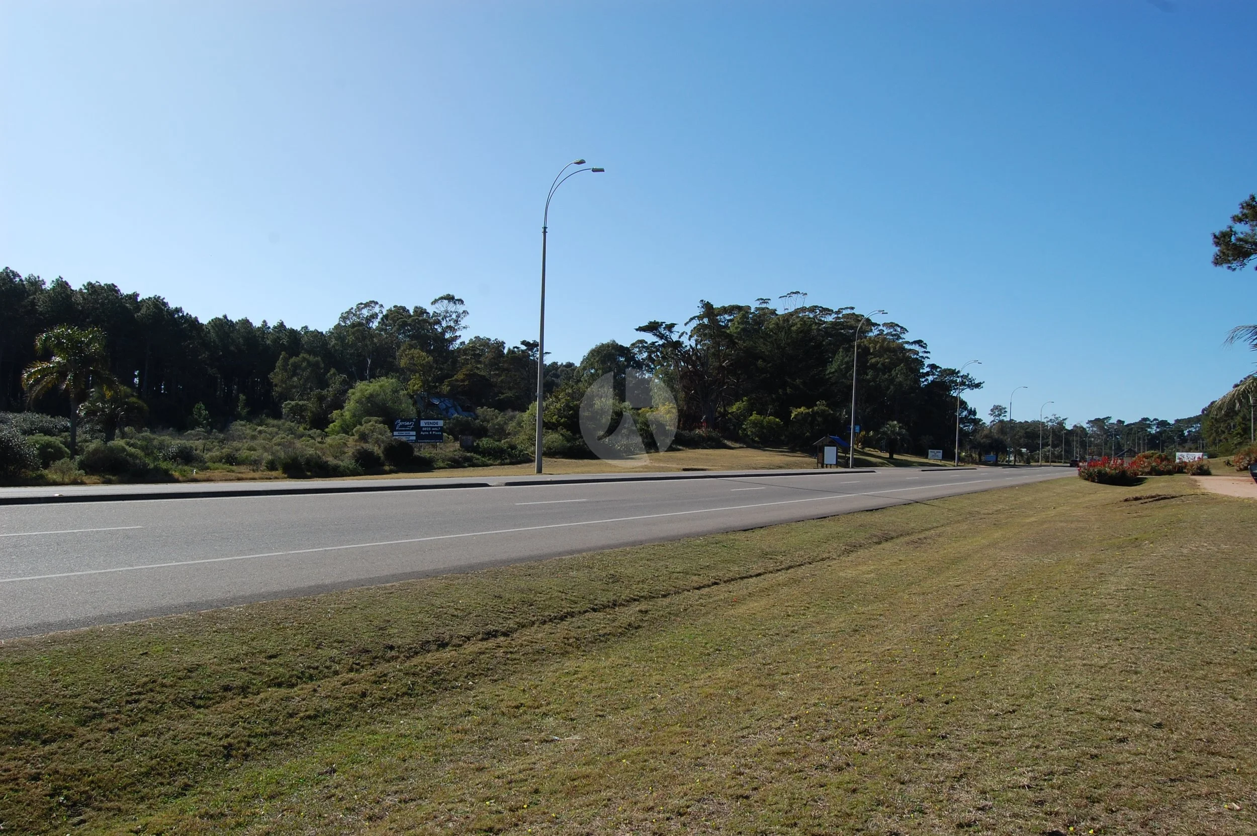 DSC_0003-watermarked.JPG