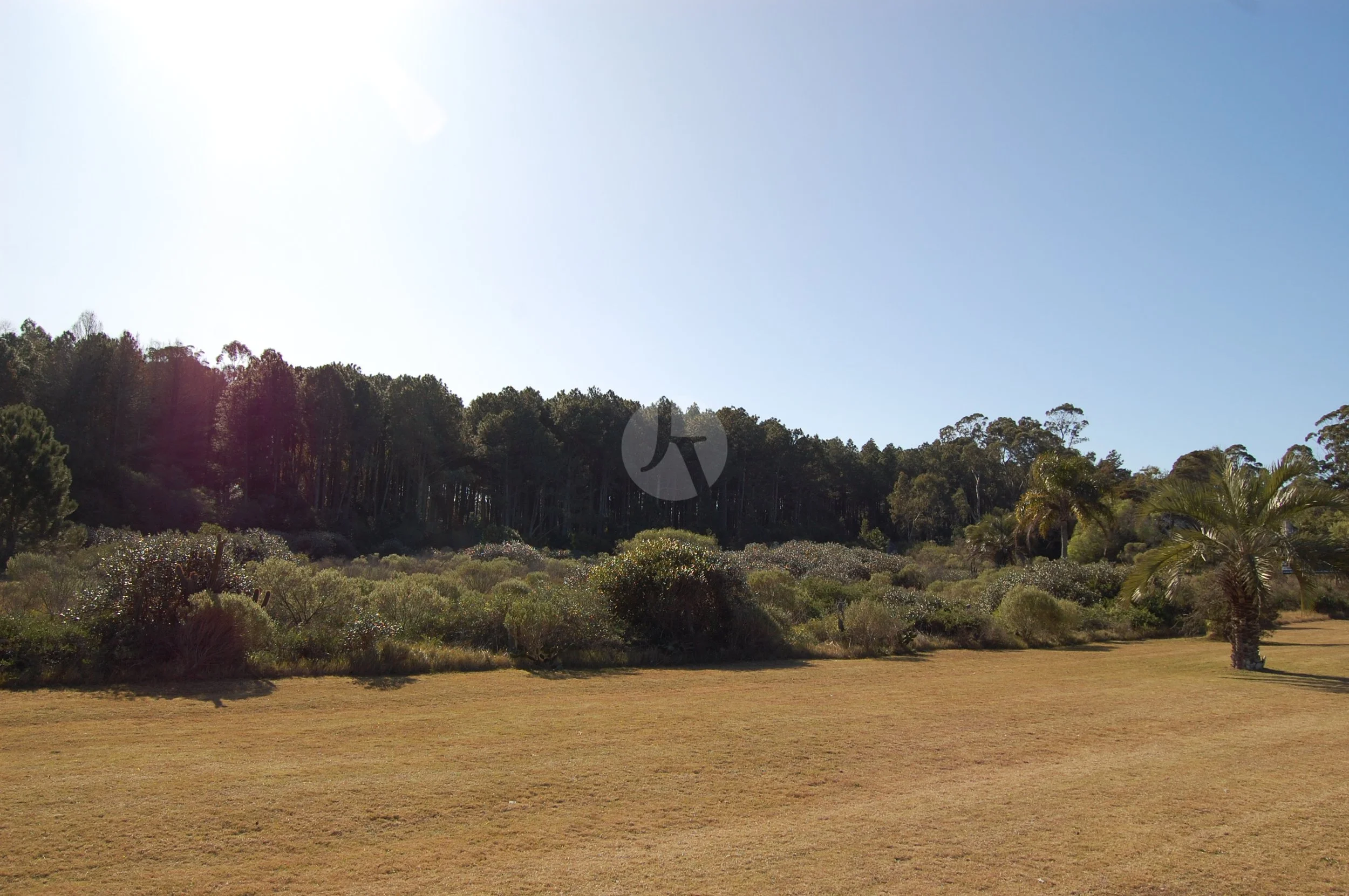 DSC_0005-watermarked.JPG