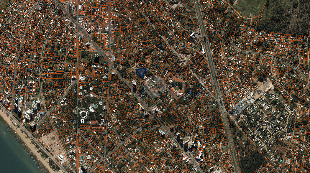 Padrón_-watermarked.png