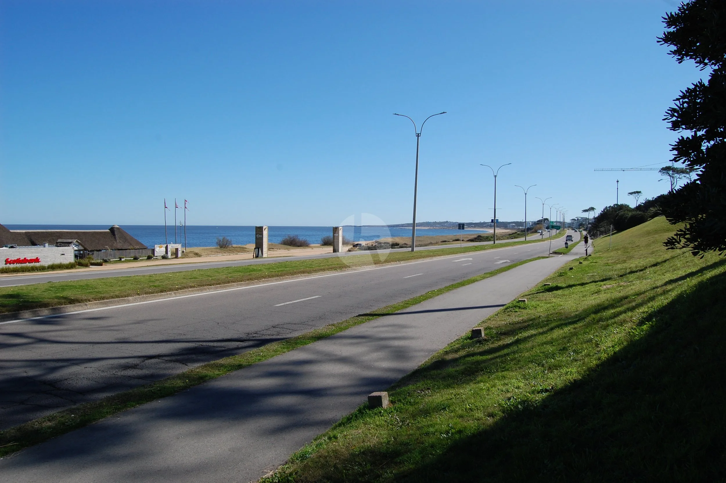 DSC_0009-watermarked.JPG