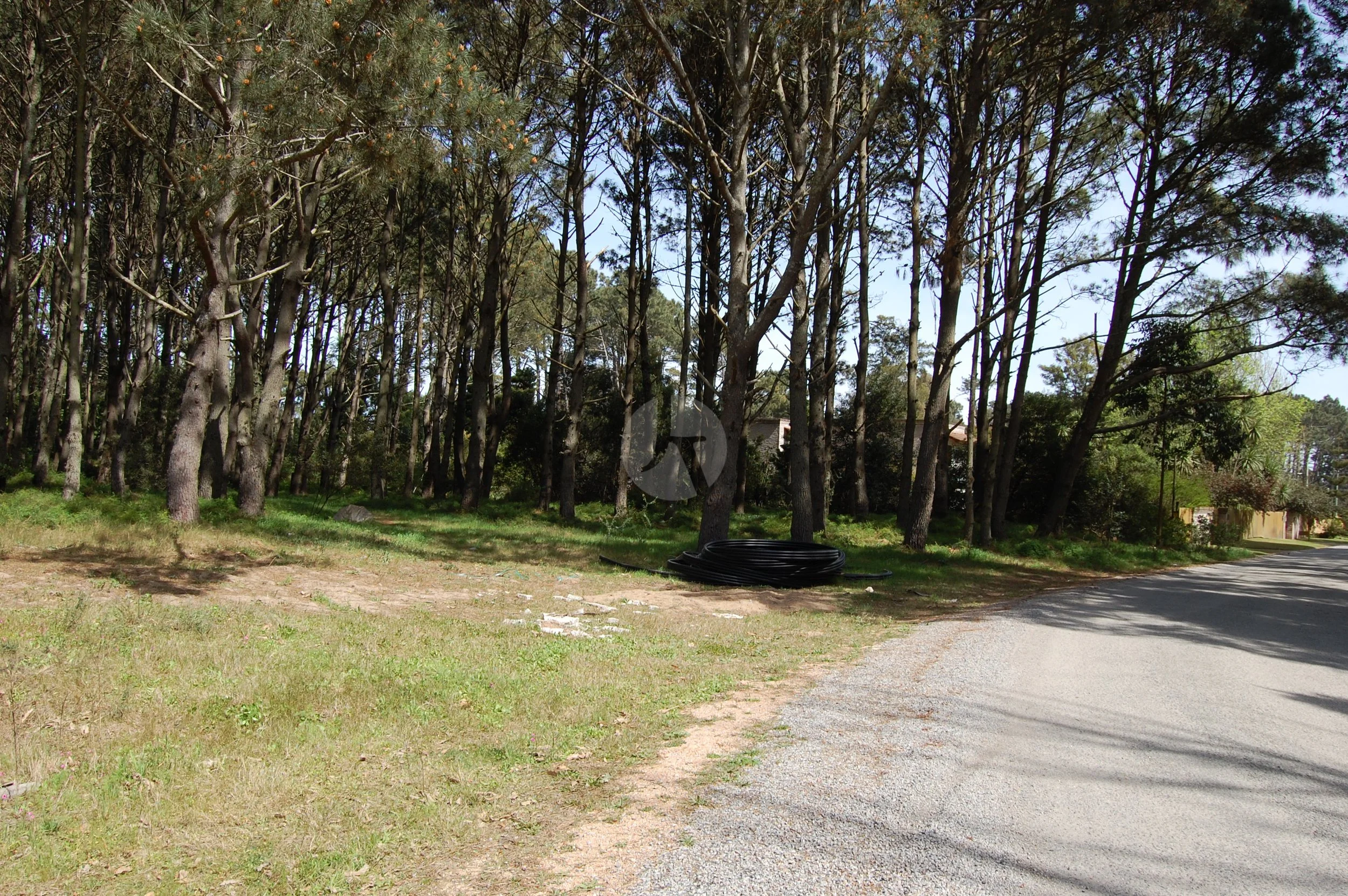 DSC_0089-watermarked.JPG