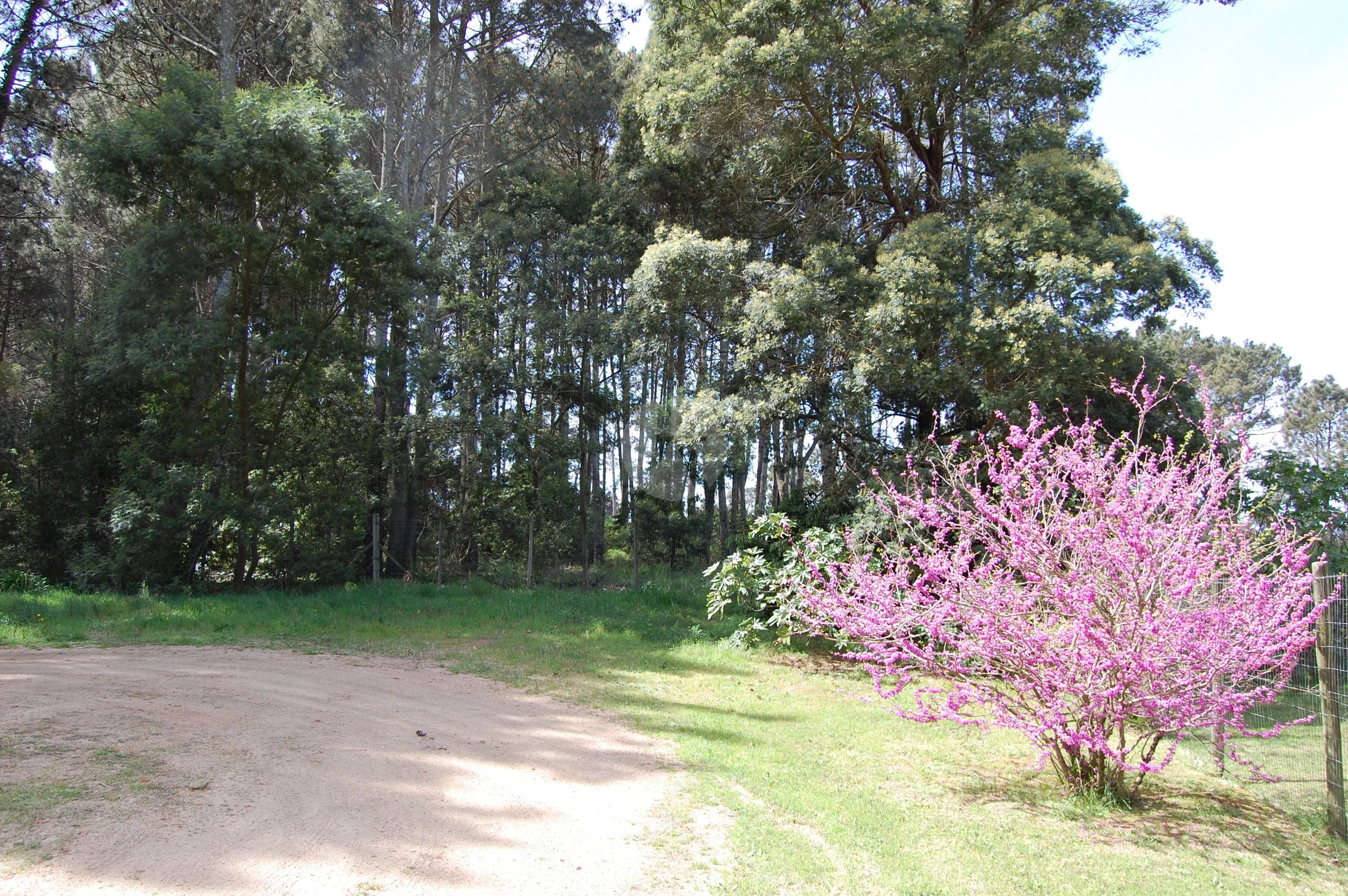 DSC_0092-watermarked.JPG