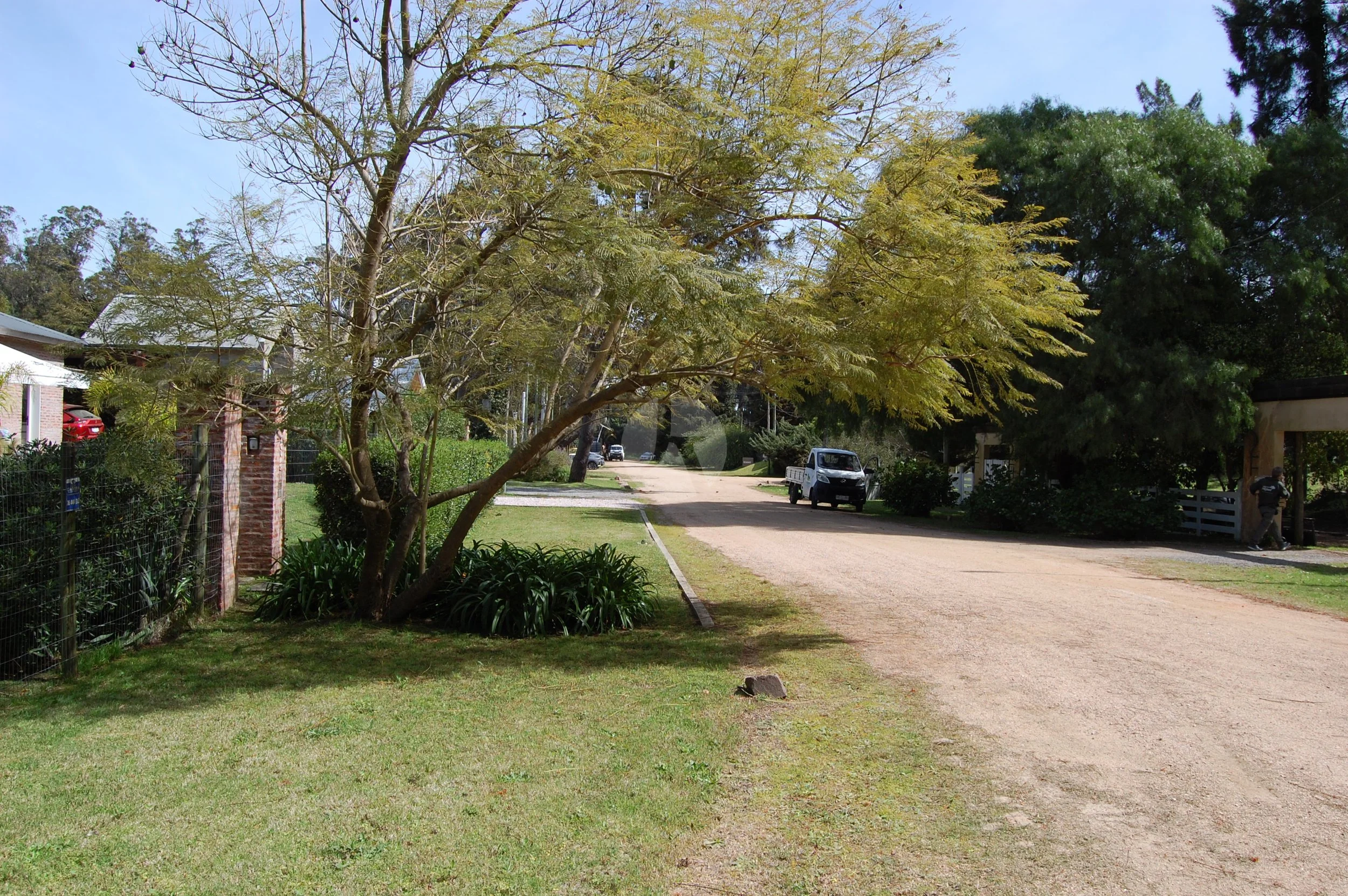 DSC_0093-watermarked.JPG
