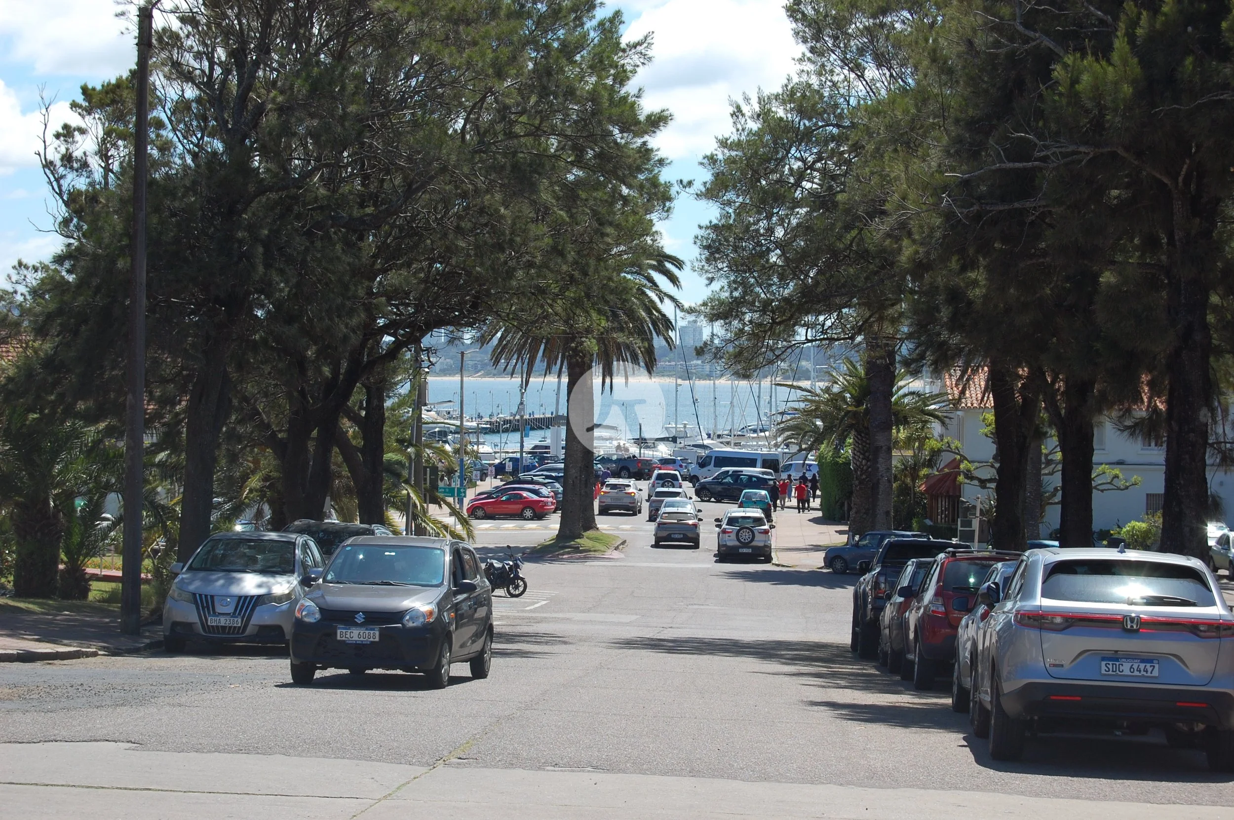 DSC_0005-watermarked.JPG
