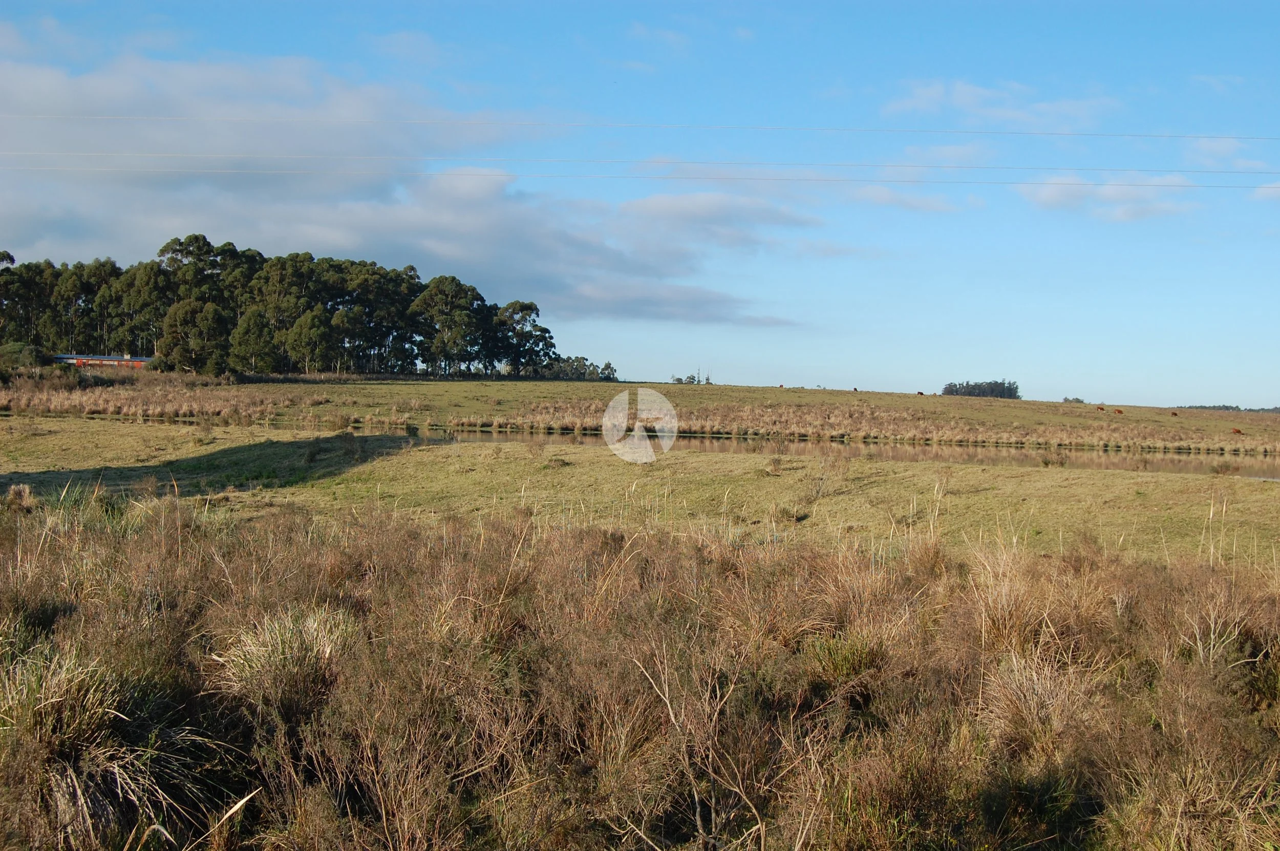 CAMINO EGUZQUIZA - PTA1003 (ENG)