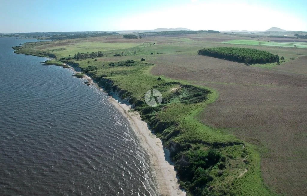 WhatsApp Image 2019-06-01 at 13.49.27 (1)-watermarked.jpeg