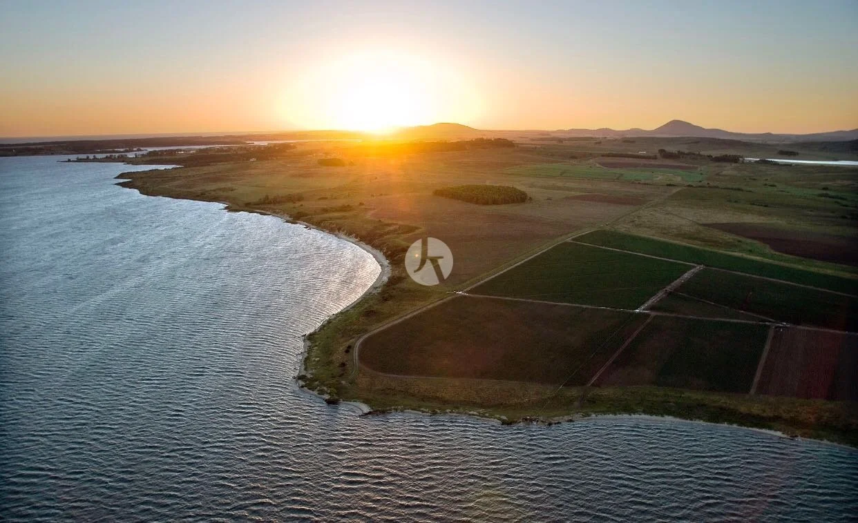 WhatsApp Image 2018-10-04 at 5.15.02 PM (1)-watermarked.jpeg