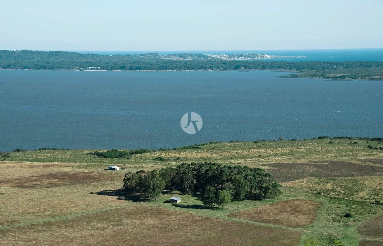 WhatsApp Image 2018-10-04 at 5.15.04 PM (1)-watermarked.jpeg