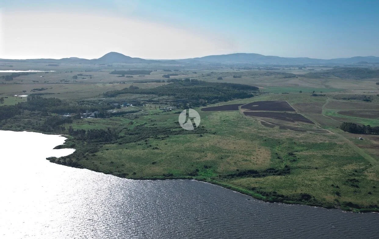 WhatsApp Image 2018-10-04 at 5.15.04 PM (2)-watermarked.jpeg