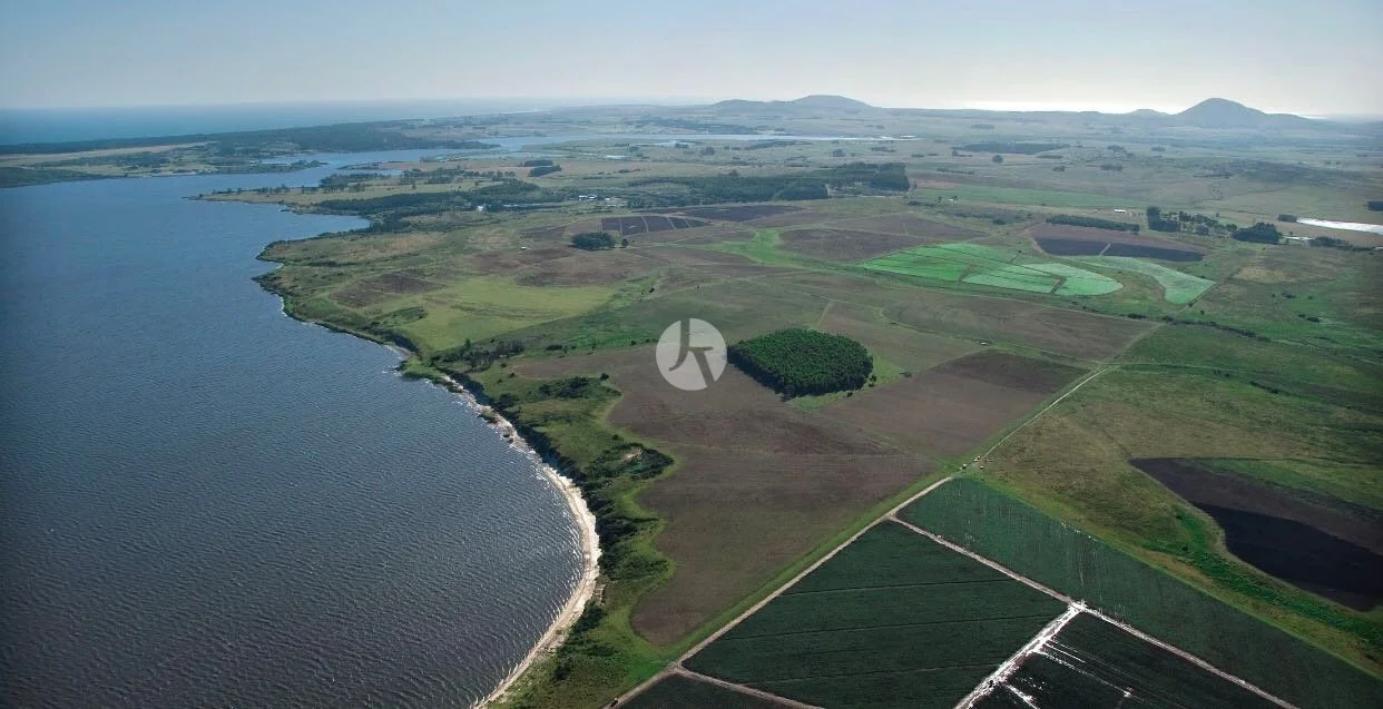 WhatsApp Image 2018-10-04 at 5.15.04 PM-watermarked.jpeg