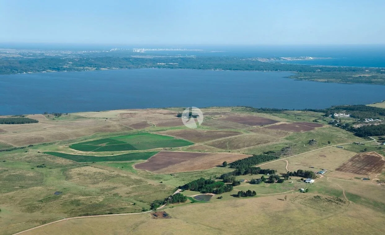 WhatsApp Image 2018-10-04 at 5.15.05 PM (1)-watermarked.jpeg