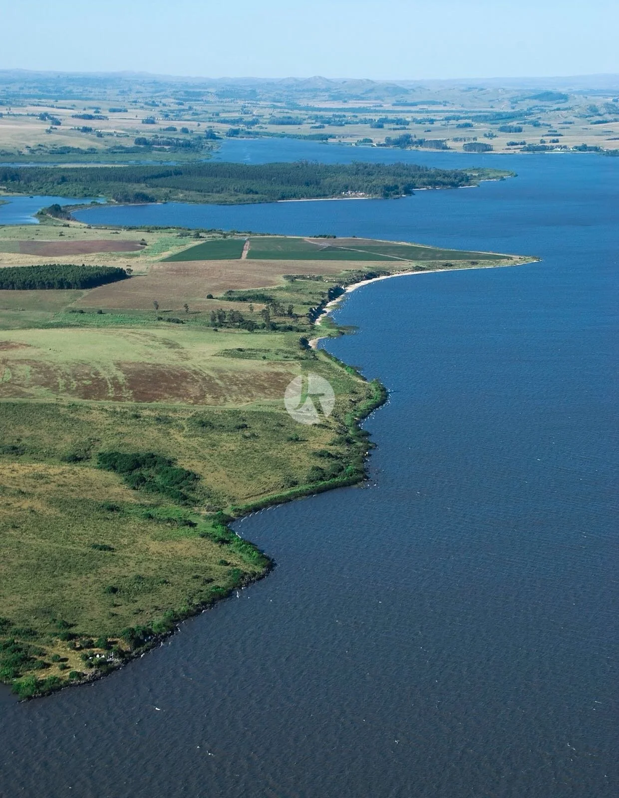 WhatsApp Image 2018-10-04 at 5.15.06 PM (1)-watermarked.jpeg