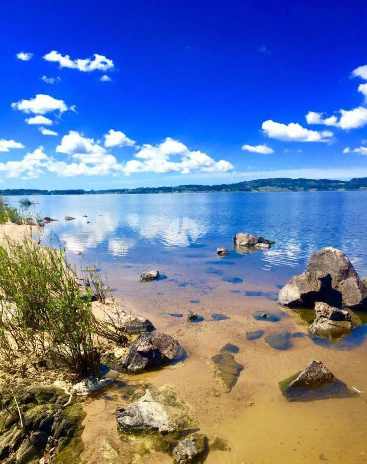 WhatsApp Image 2018-10-04 at 5.14.59 PM (1)-watermarked.jpeg