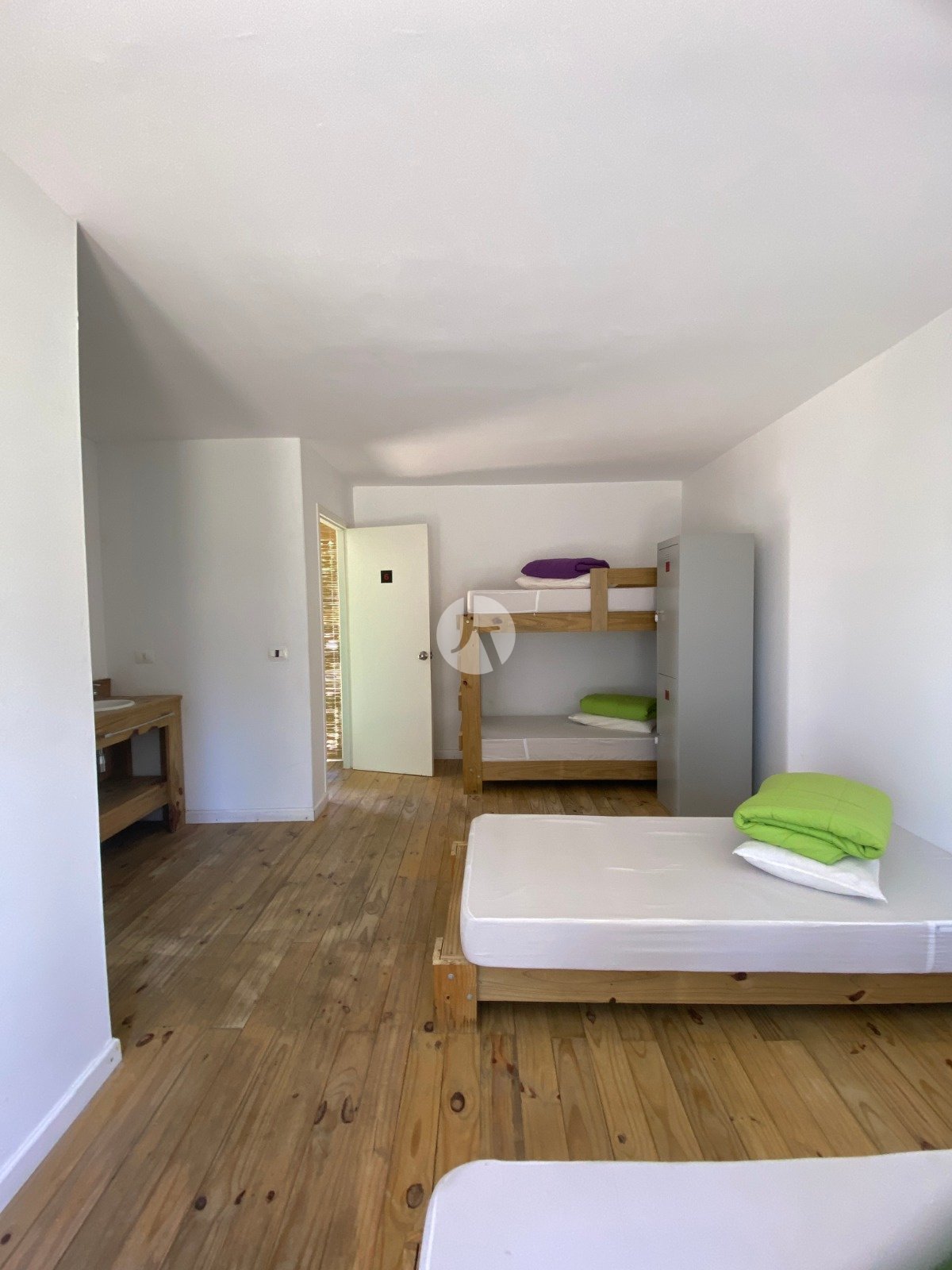 PHOTO-2026-03-02-10-55-52 (3)-watermarked.jpg