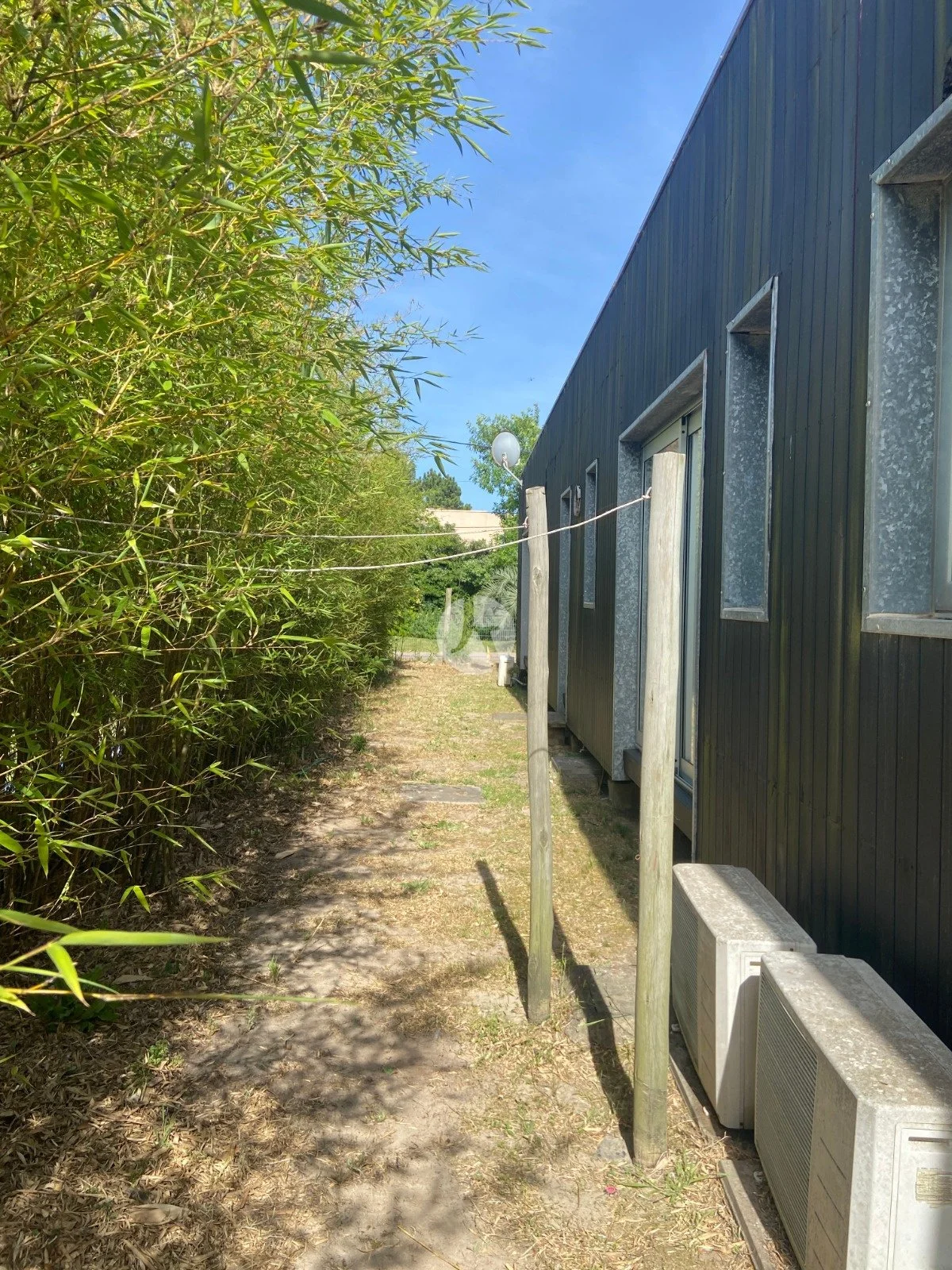 PHOTO-2026-03-02-10-55-56 (2)-watermarked.jpg