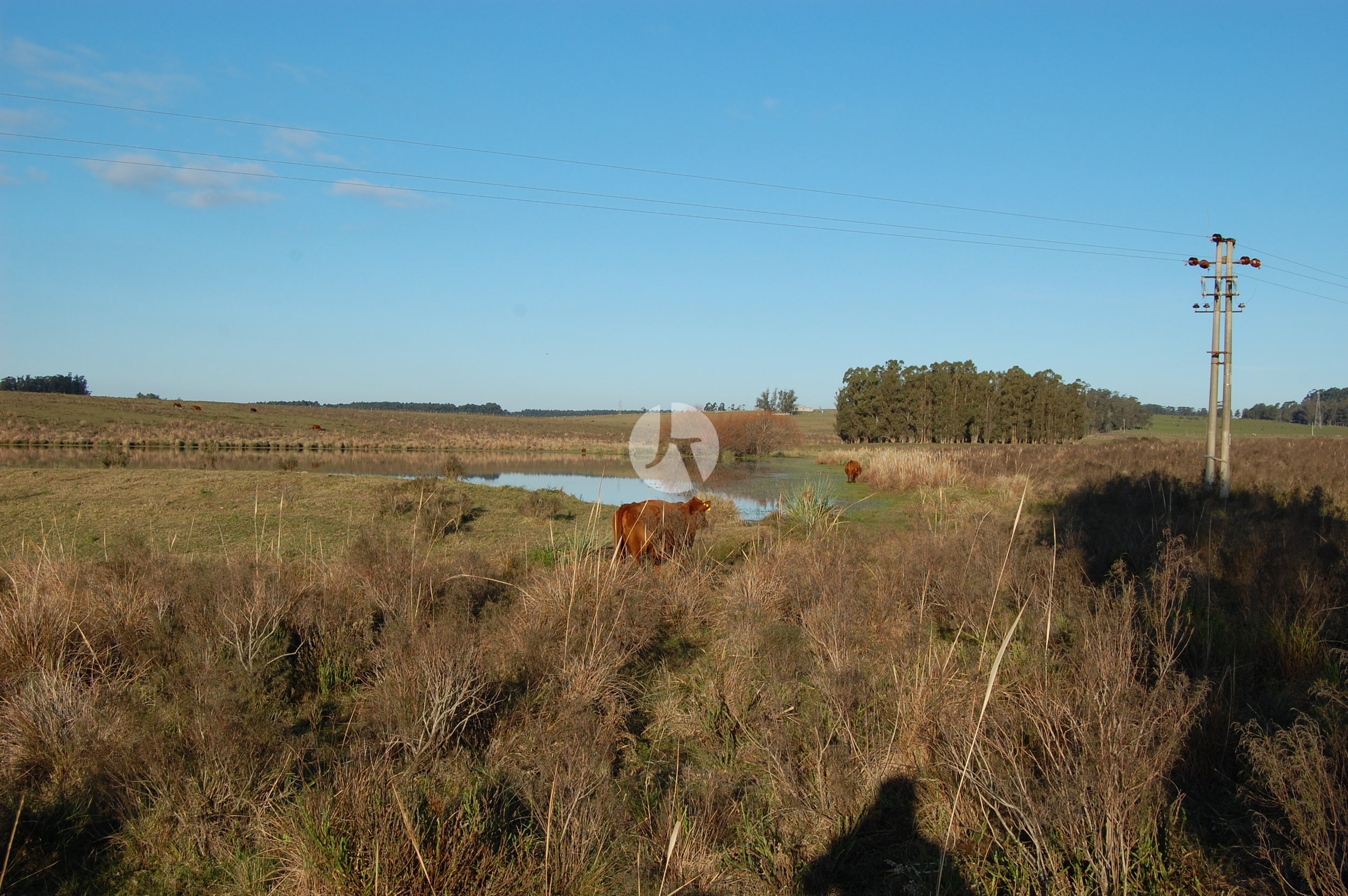 DSC_0058-watermarked.JPG