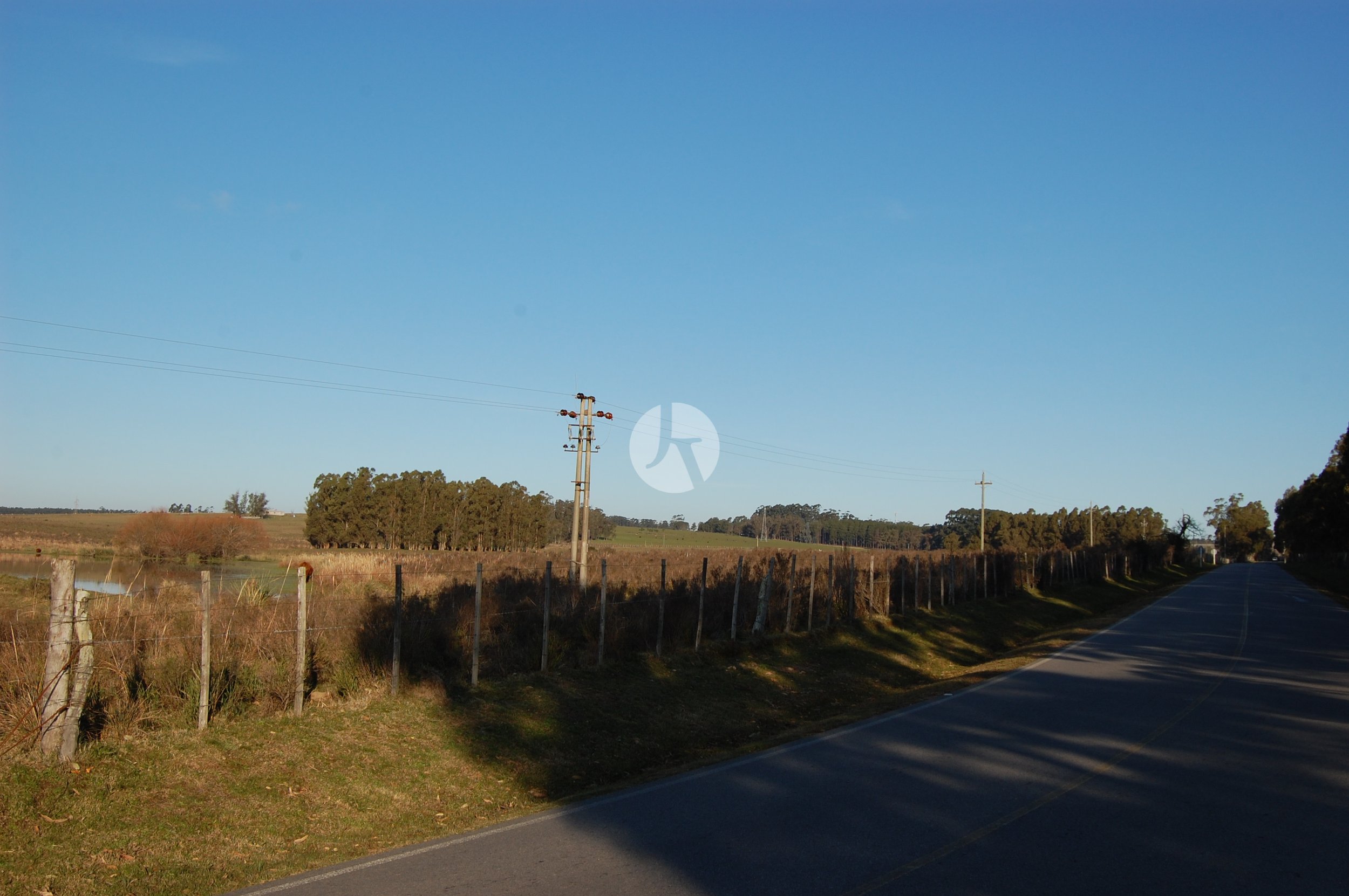 DSC_0054-watermarked.JPG