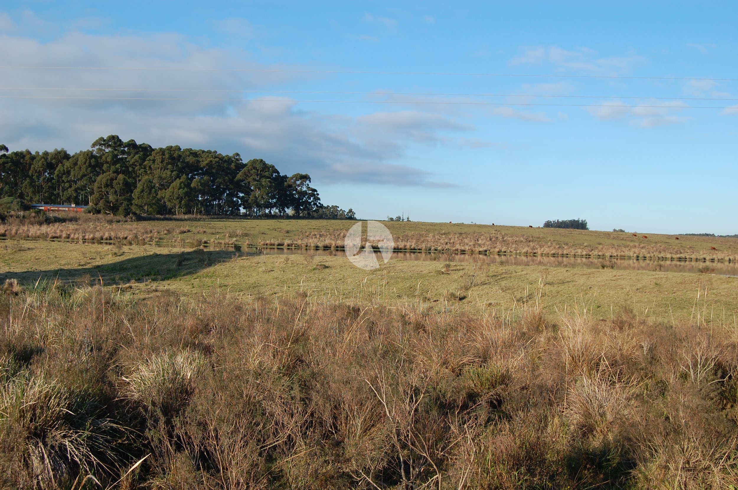 DSC_0057-watermarked.JPG