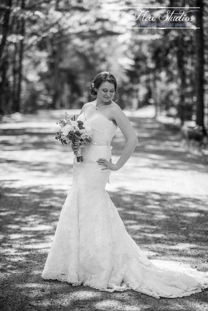 Bar Harbor Inn Wedding Photographer