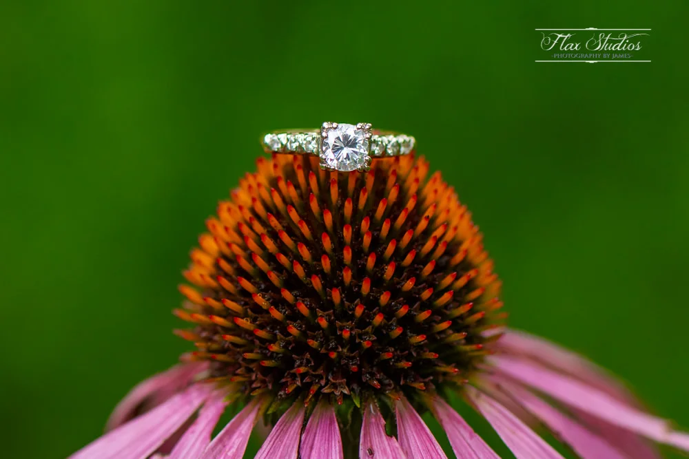 Caswell Farm Maine Barn Wedding-8.jpg