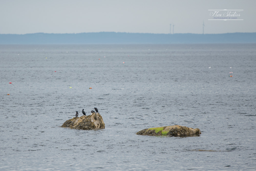 Rockland Maine Breakwater Proposal-4.jpg