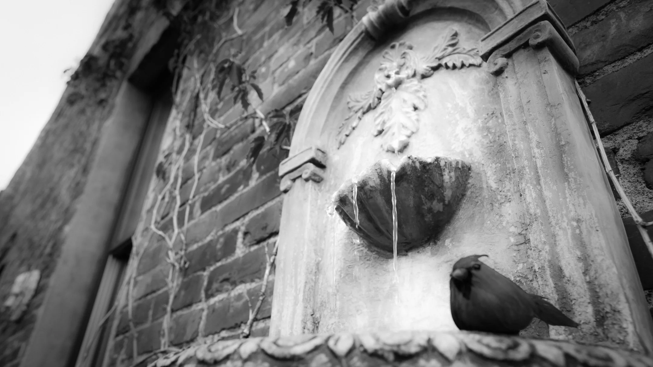 Vargas-Bean Wedding (9 of 159).jpg