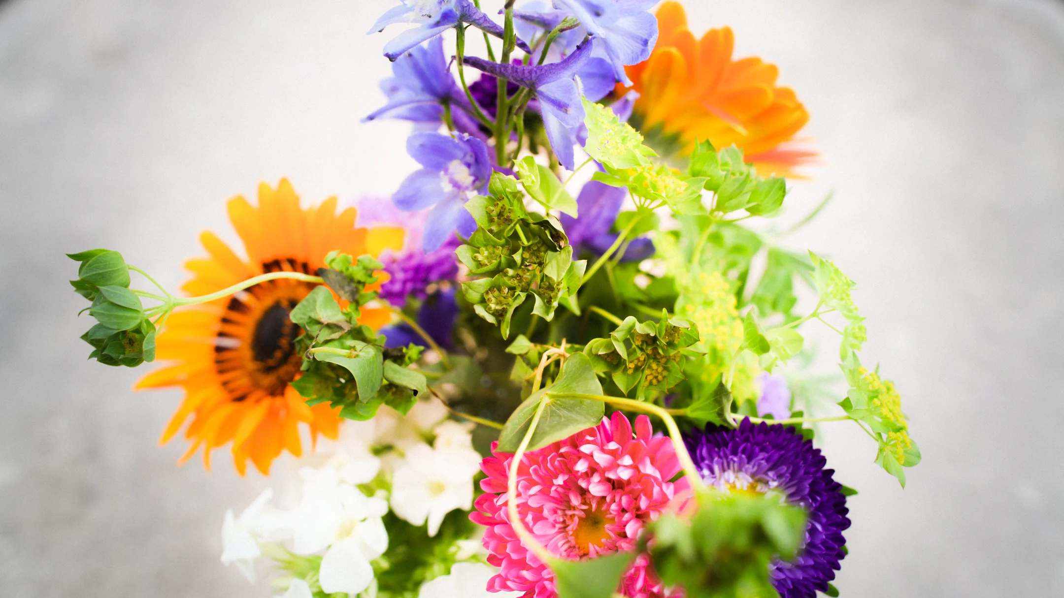 Vargas-Bean Wedding (11 of 159).jpg