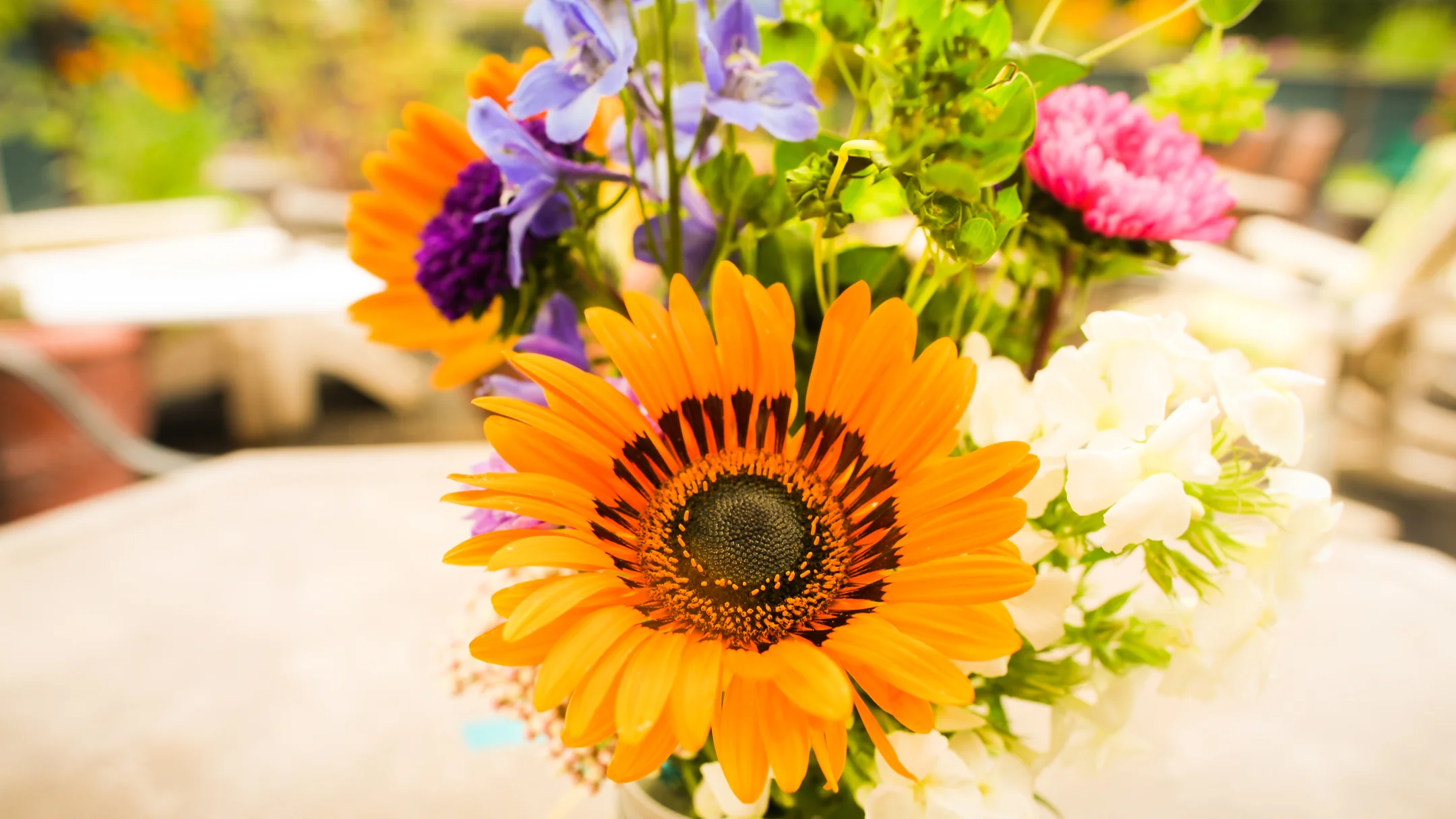 Vargas-Bean Wedding (12 of 159).jpg