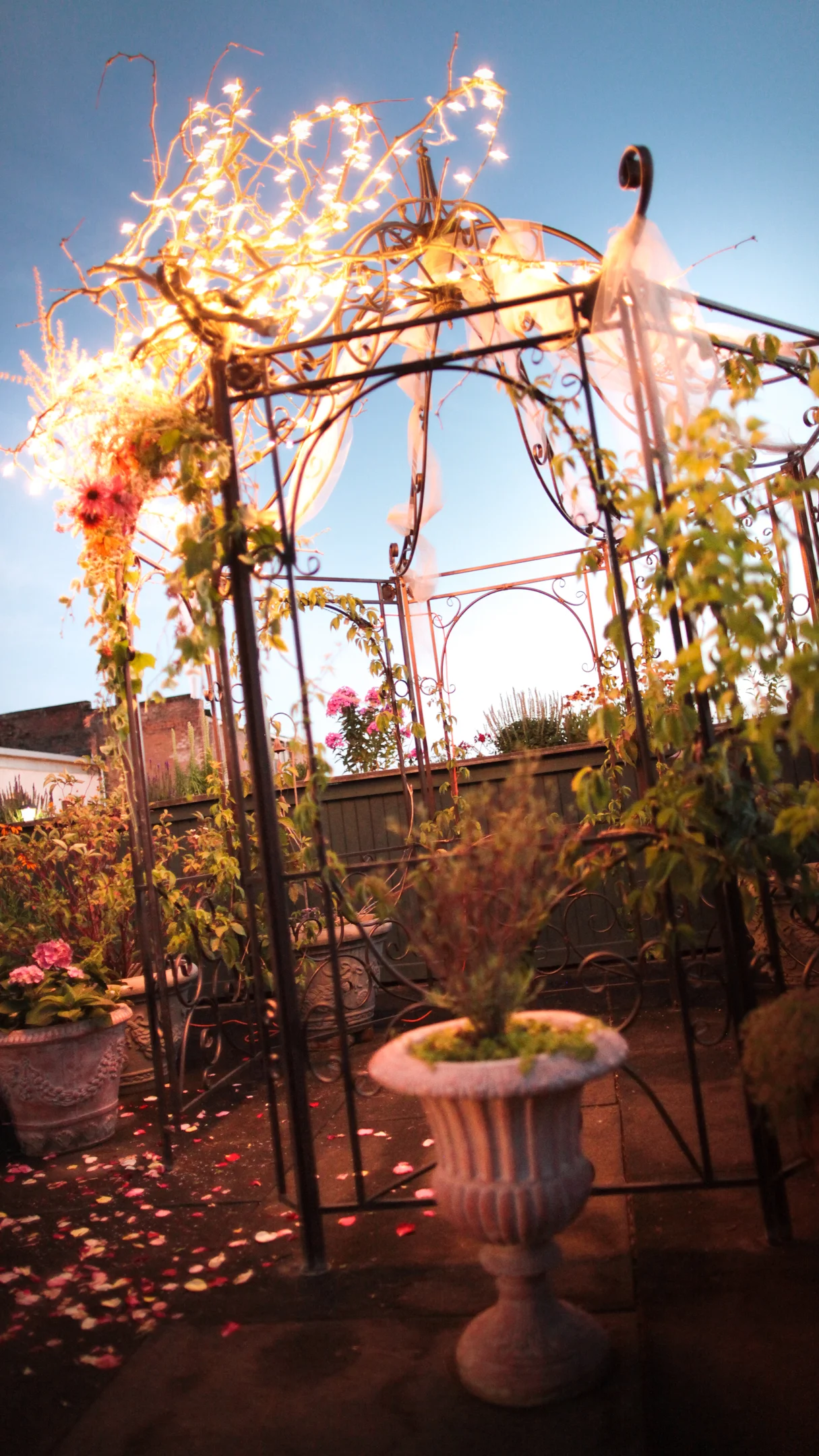 Vargas-Bean Wedding (132 of 159).jpg