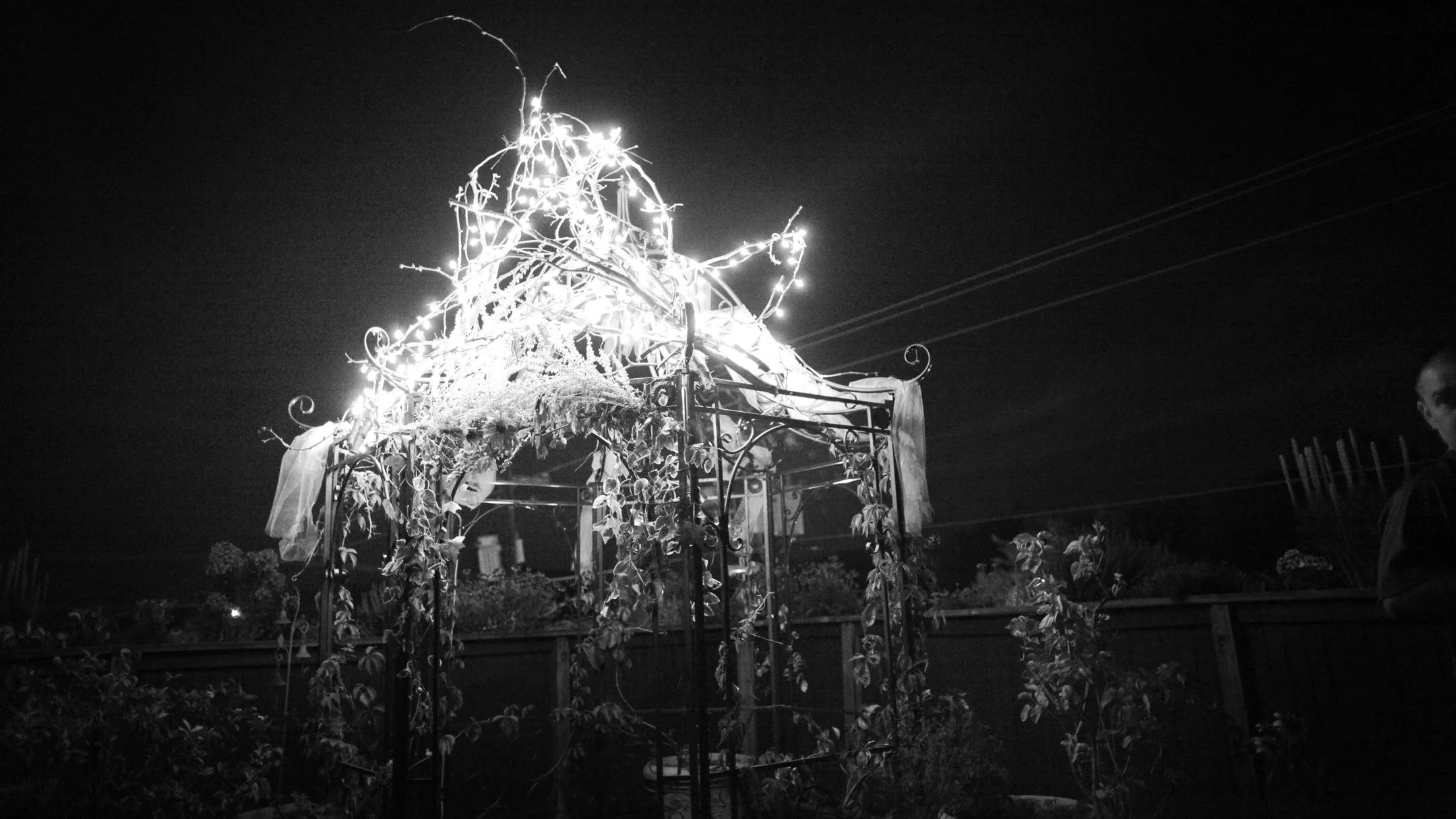 Vargas-Bean Wedding (158 of 159).jpg