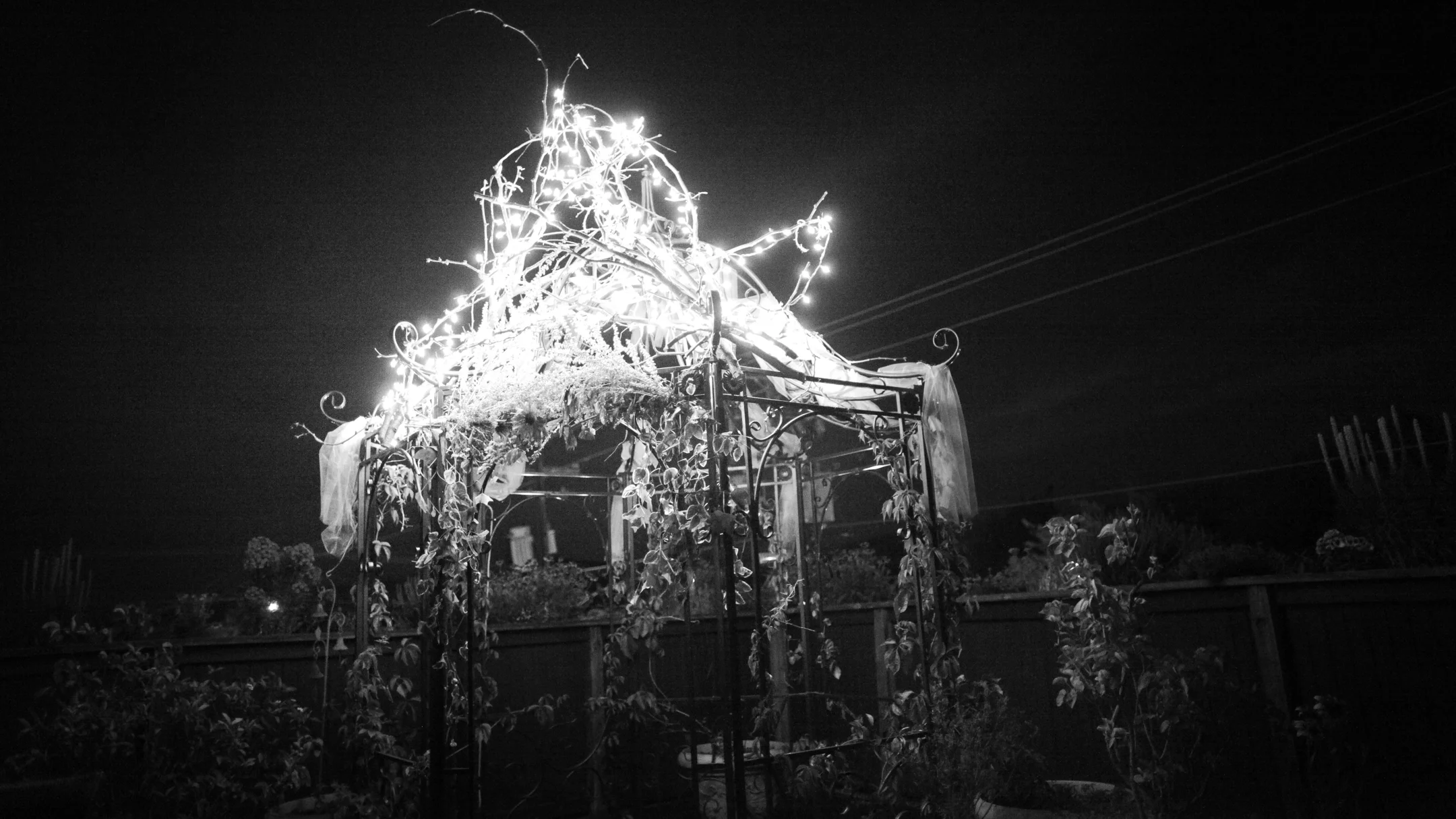 Vargas-Bean Wedding (159 of 159).jpg
