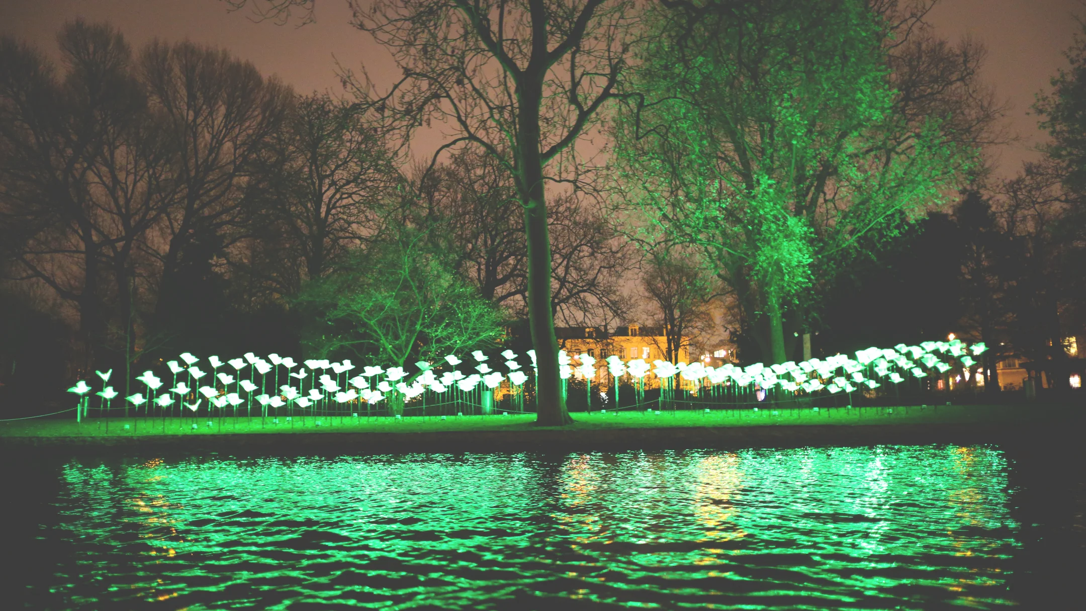 20141202-9K3A2170 copy.jpg