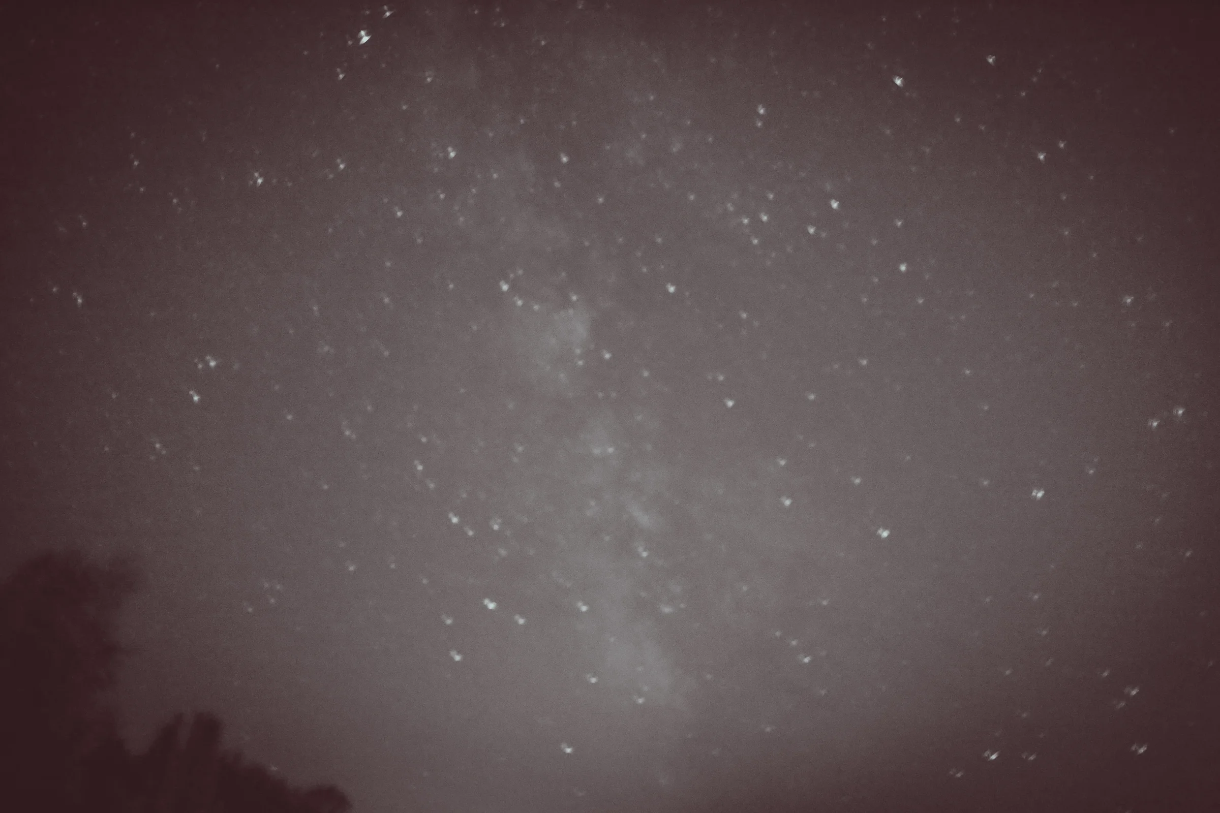 KM-365.jpg