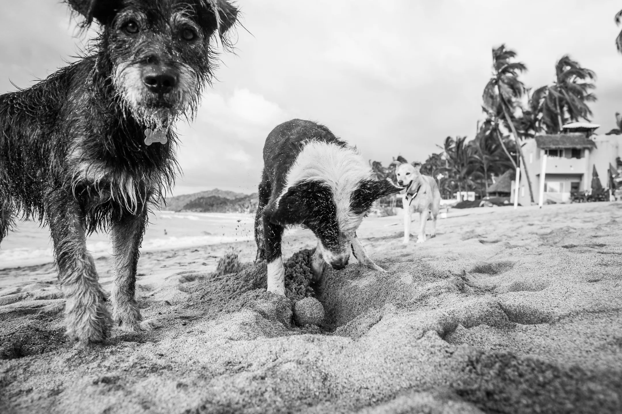 IMG_7821.jpg
