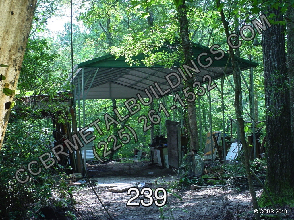 RV_239.jpg