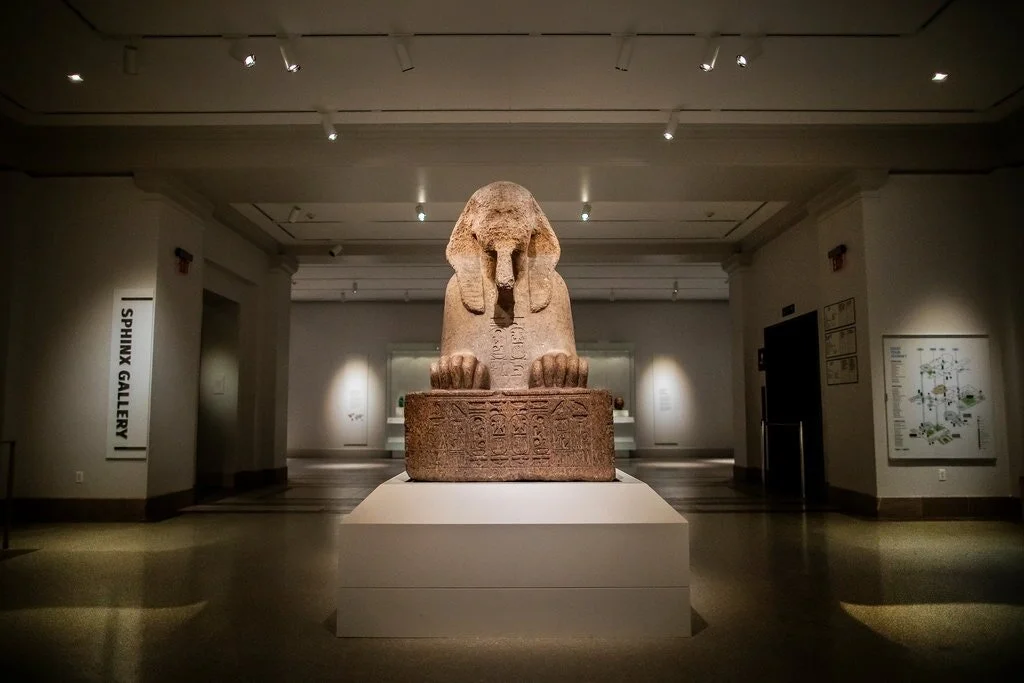 https-::www.nytimes.com:2019:11:13:arts:design:penn-museum-redesign.jpg