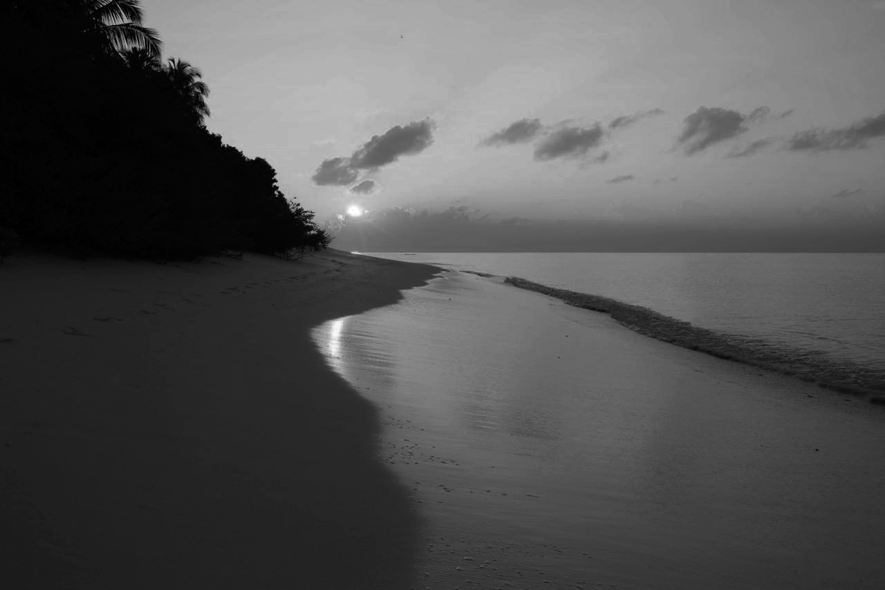Last_Glimpse-153.png