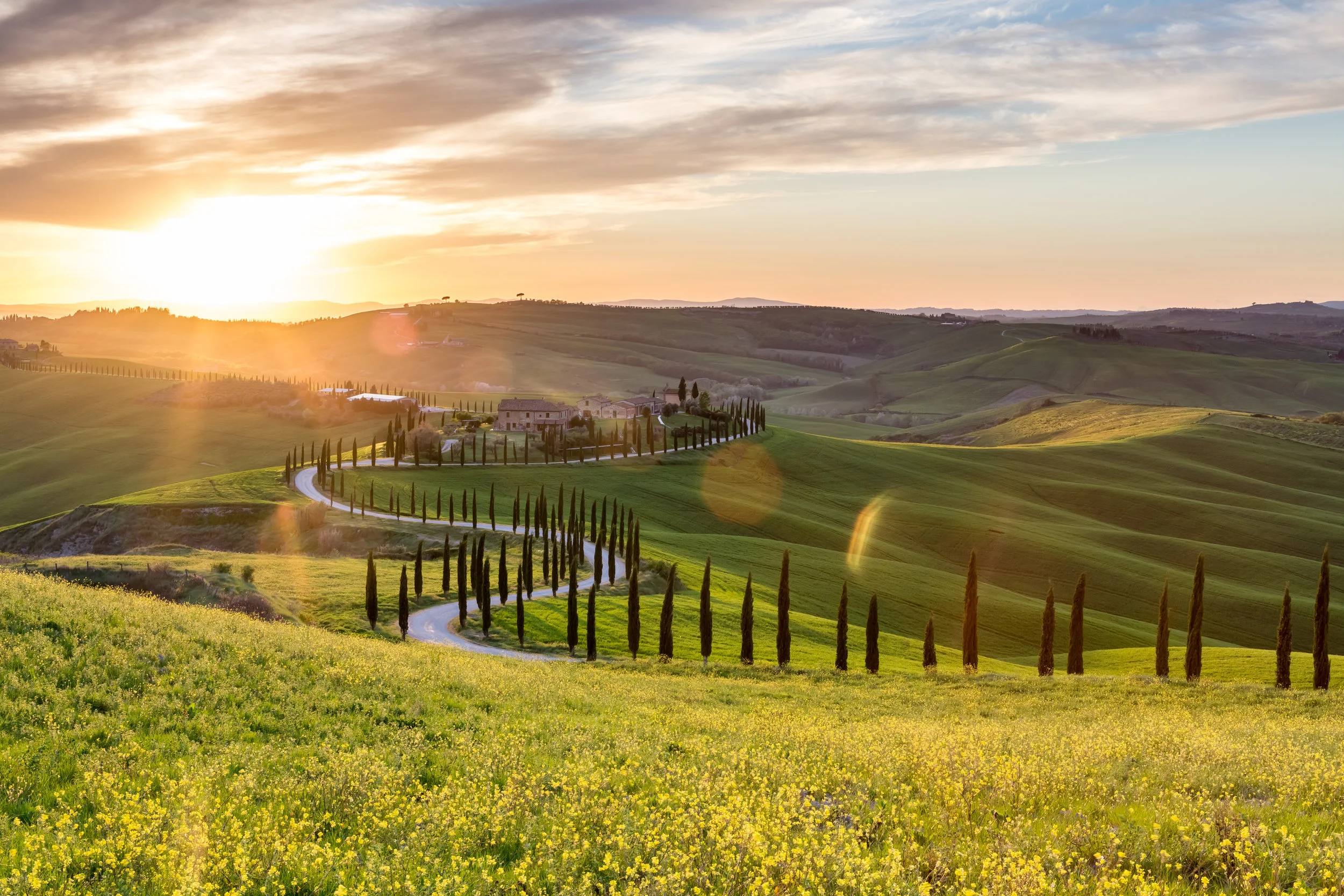 AdobeStock_112790955.jpeg