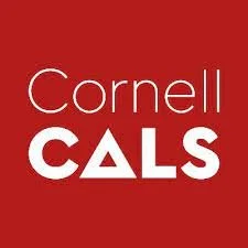 Award: Origin Story Founder , Ryan Silbert receives Cornell Young Alumni Achievement Award 