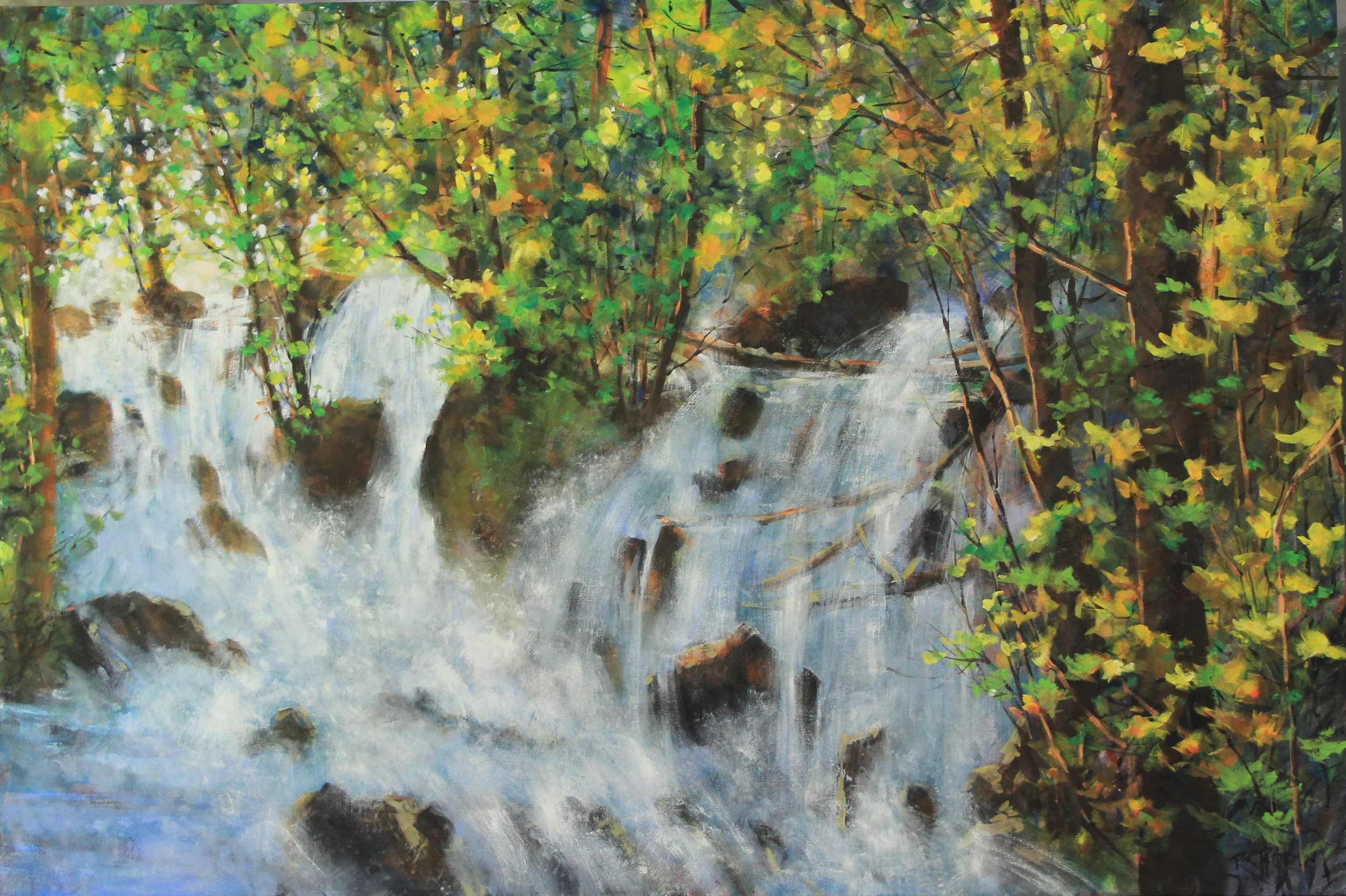 Spring Flood, Ragged Falls