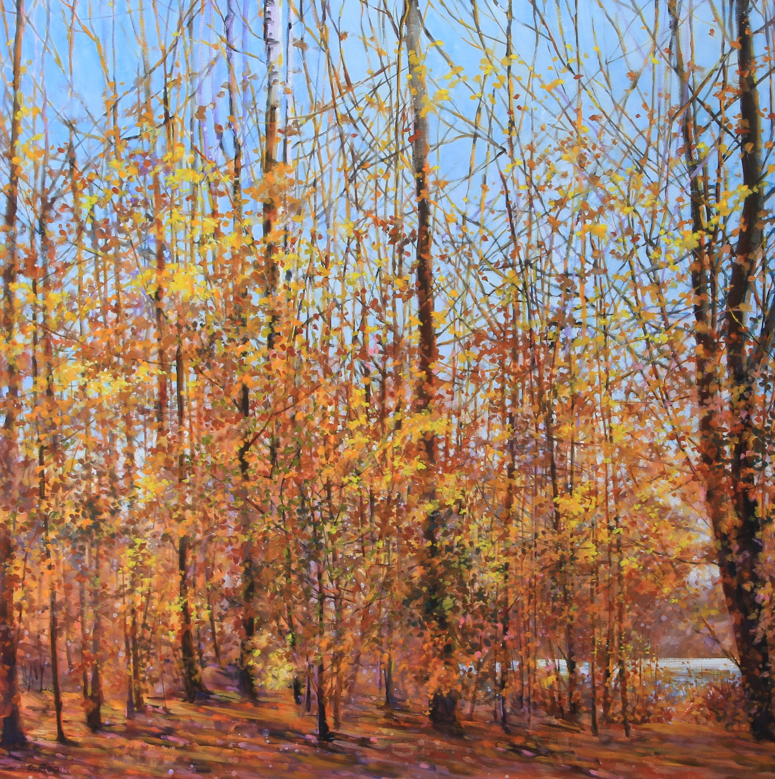 Forest Light Series: Fall Greeting