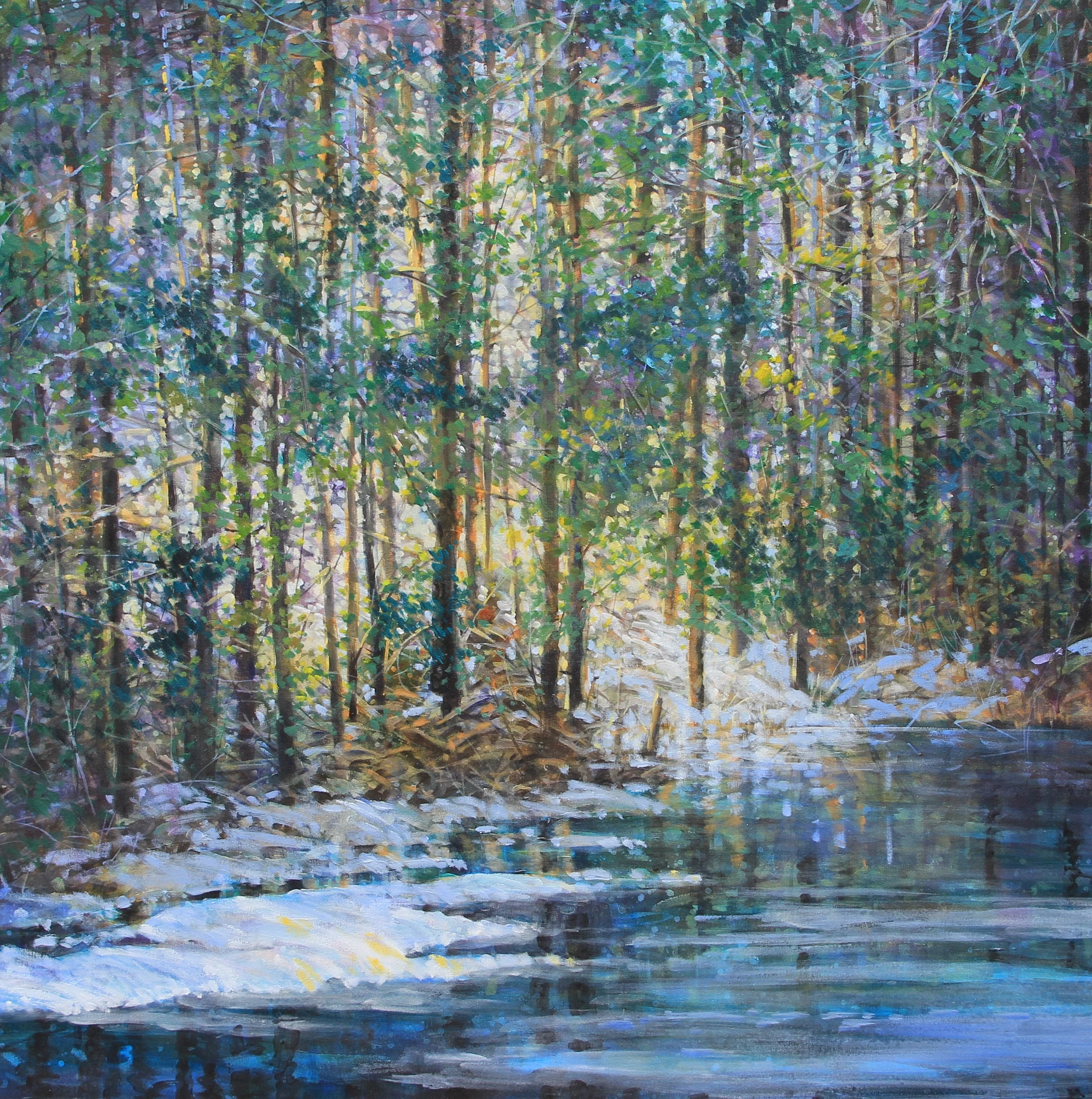 Forest Light Series:Spring Thaw at Creek