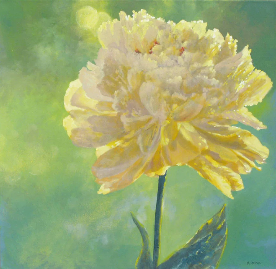 Peony Private Collection